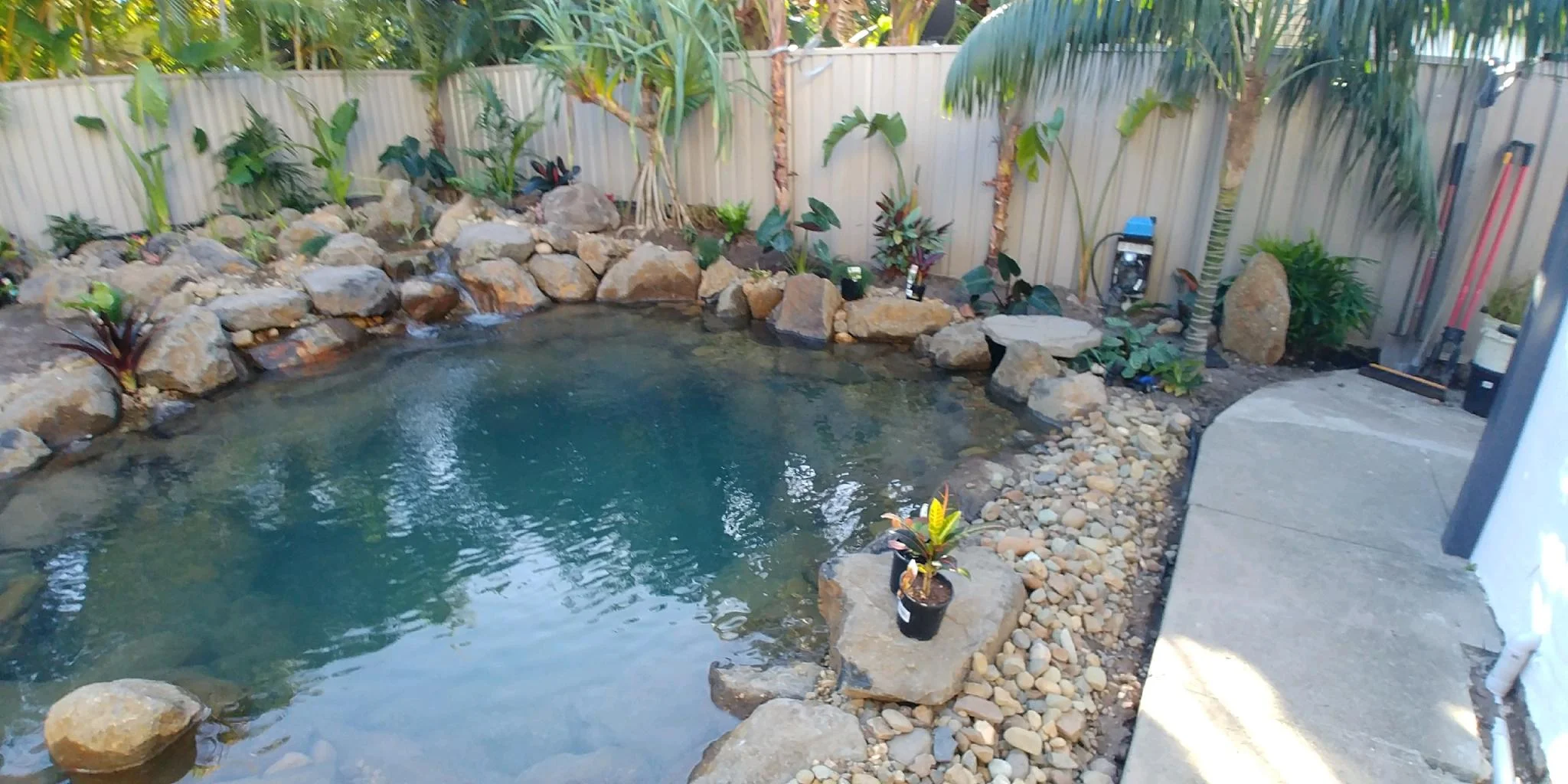 Natural Swimming Pool
