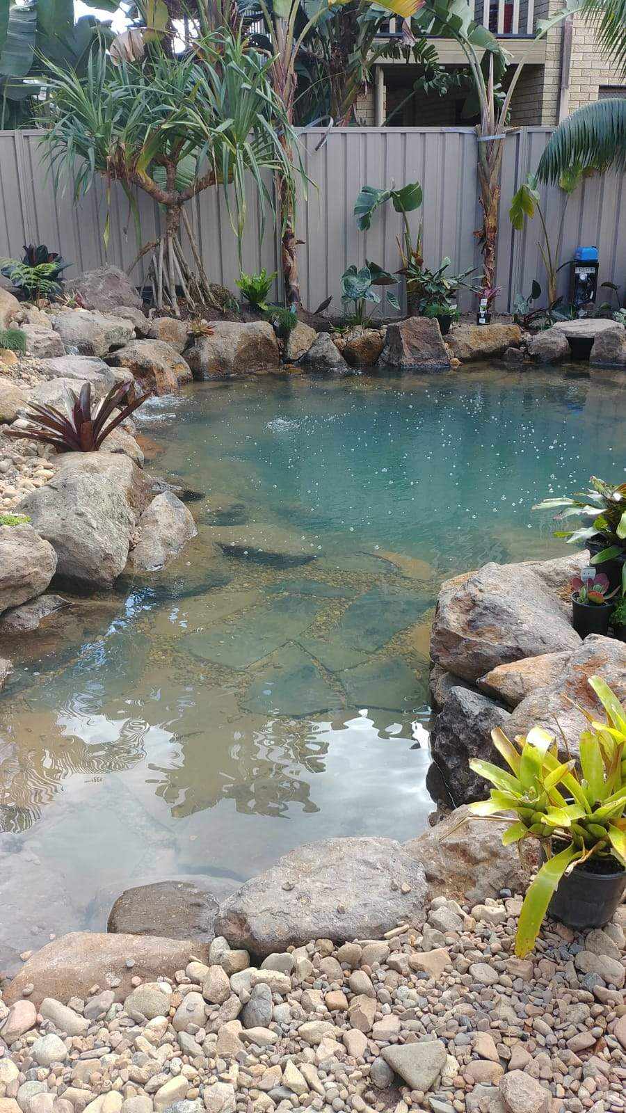 Natural Swimming Pool