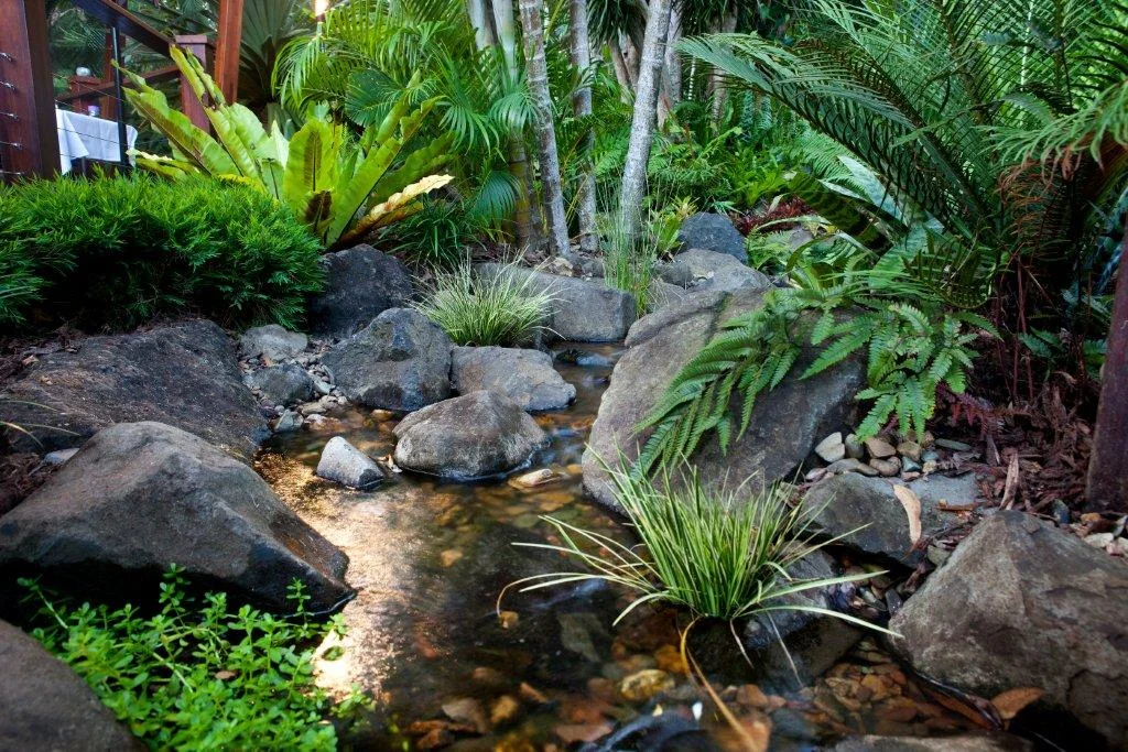 daisys-place-water-scaping-sunshine-coast-3.jpg