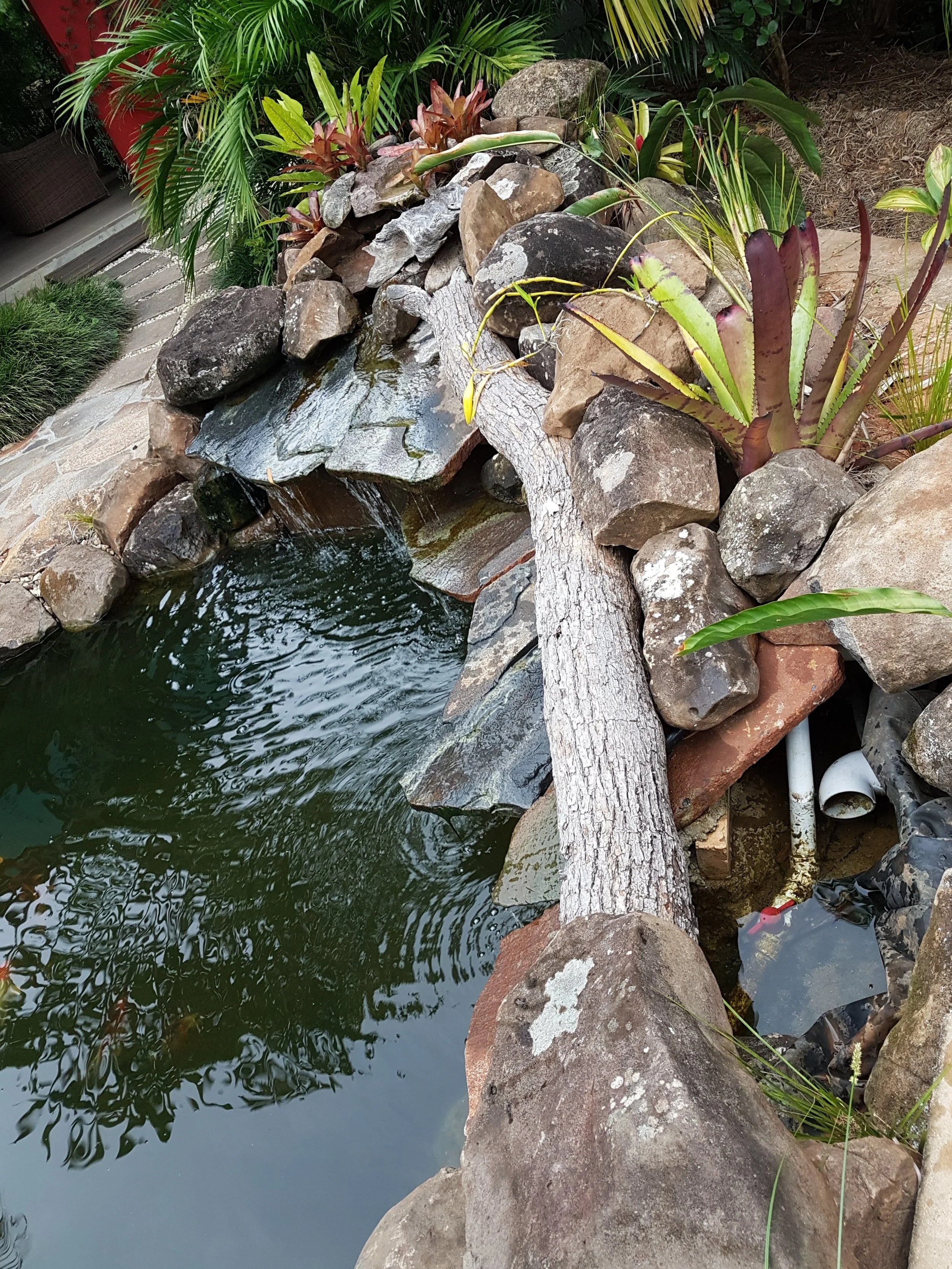 20181108_091824.jpg