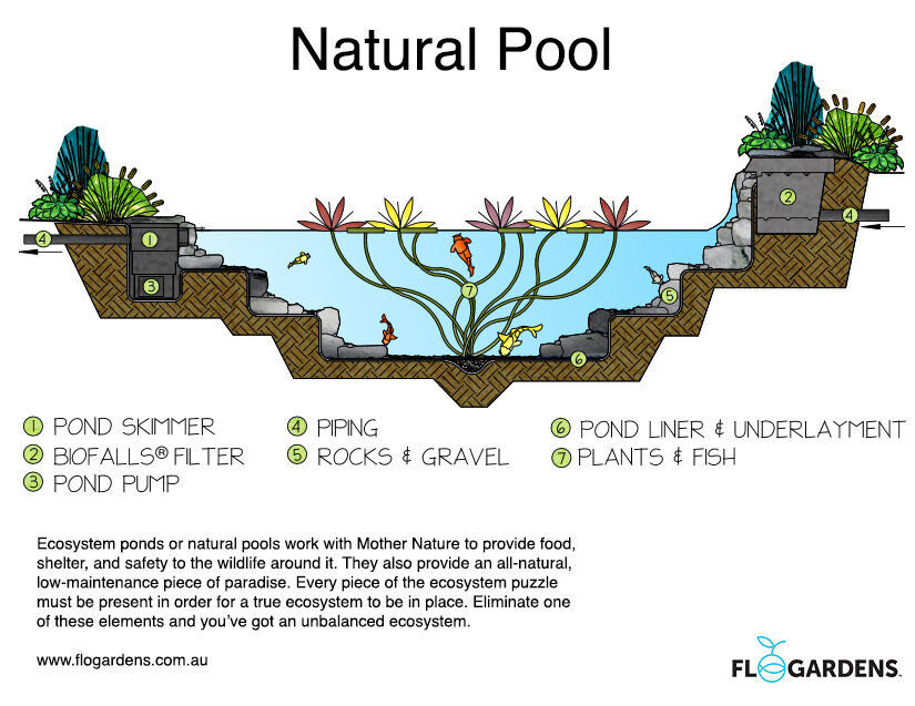 natural pool.jpg