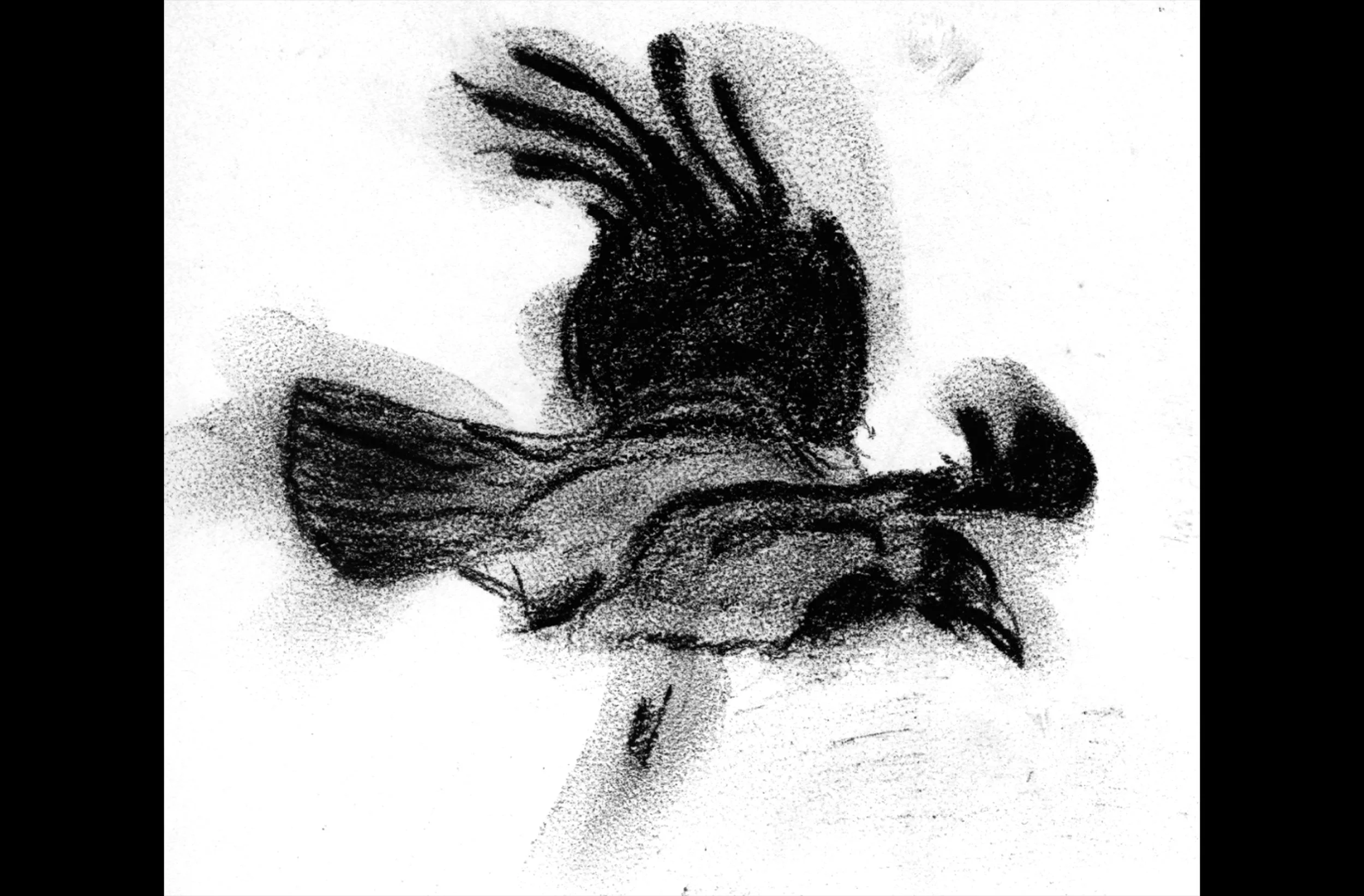 Crow