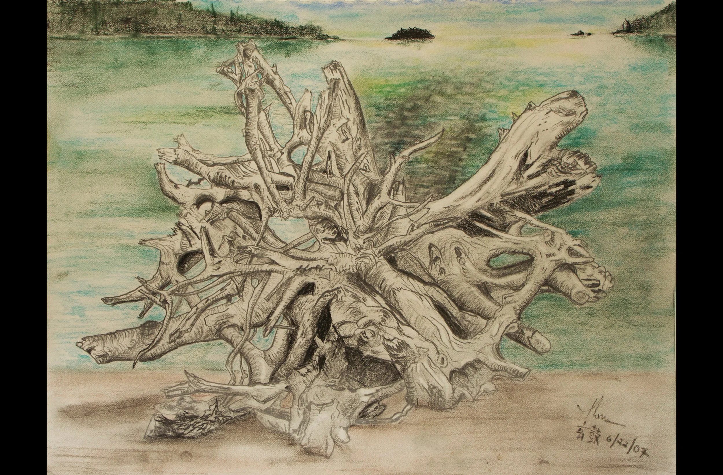 Driftwood Roots on Beach at Bowman Bay (Deception Pass, Plein Air)
