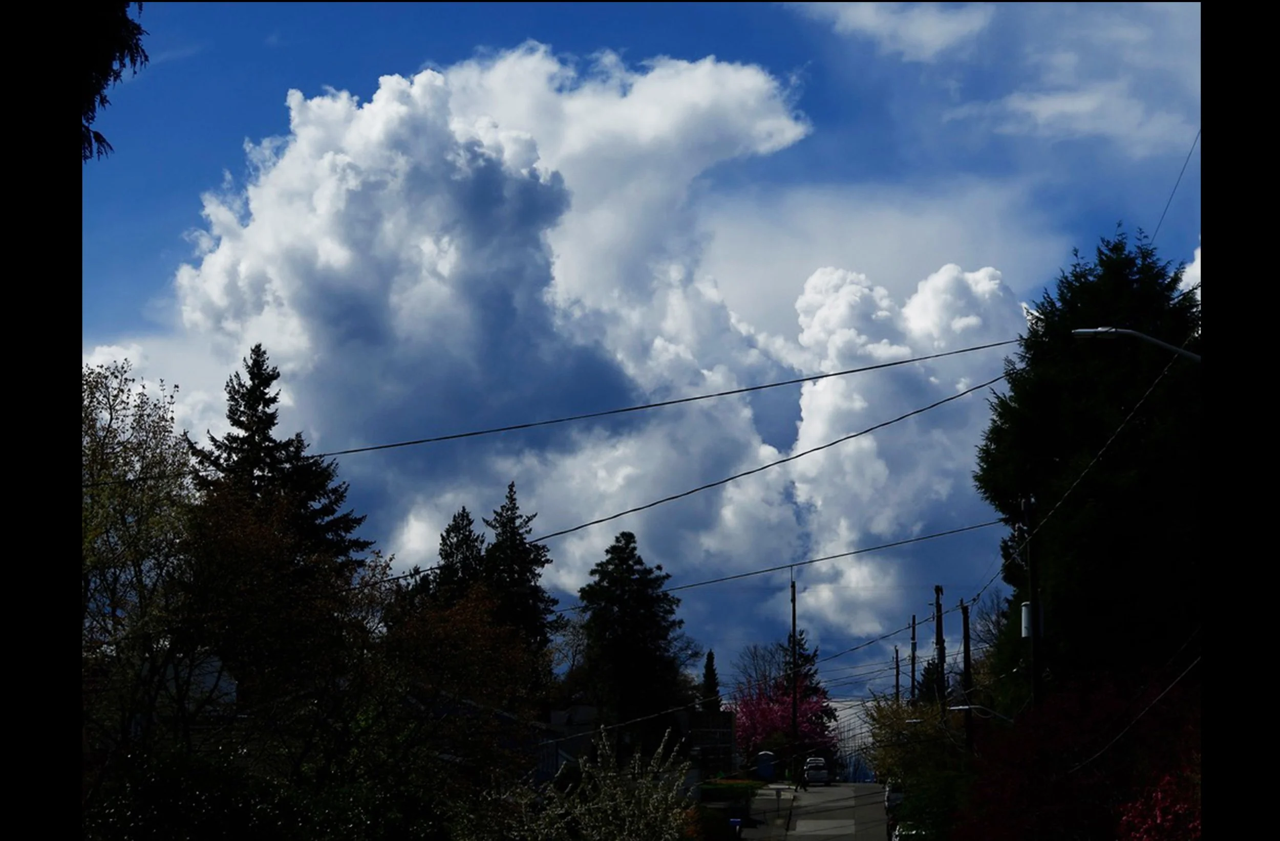 Clouds Trees & Streets.jpg