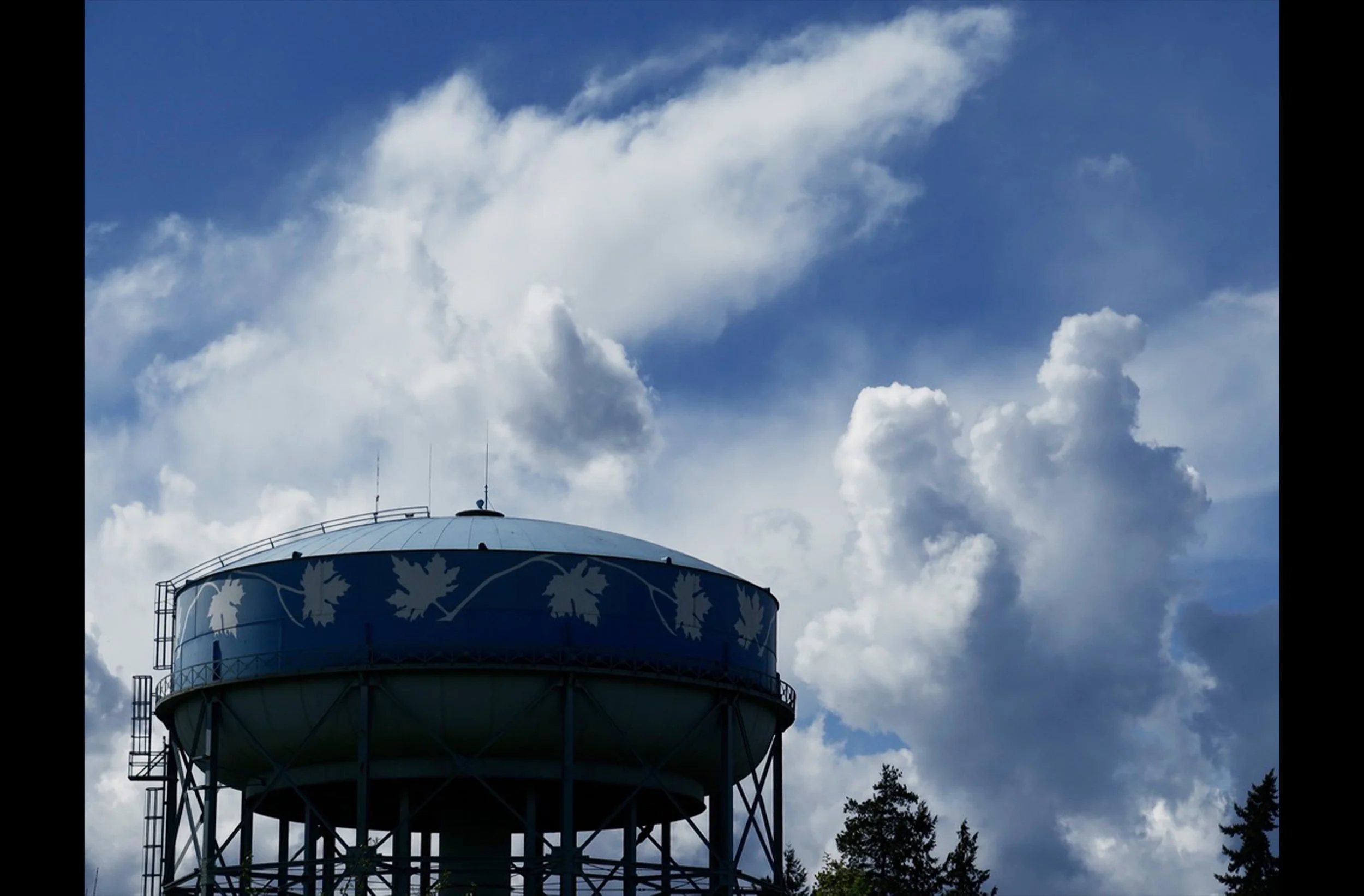 Maple Leaf Park Clouds.jpg