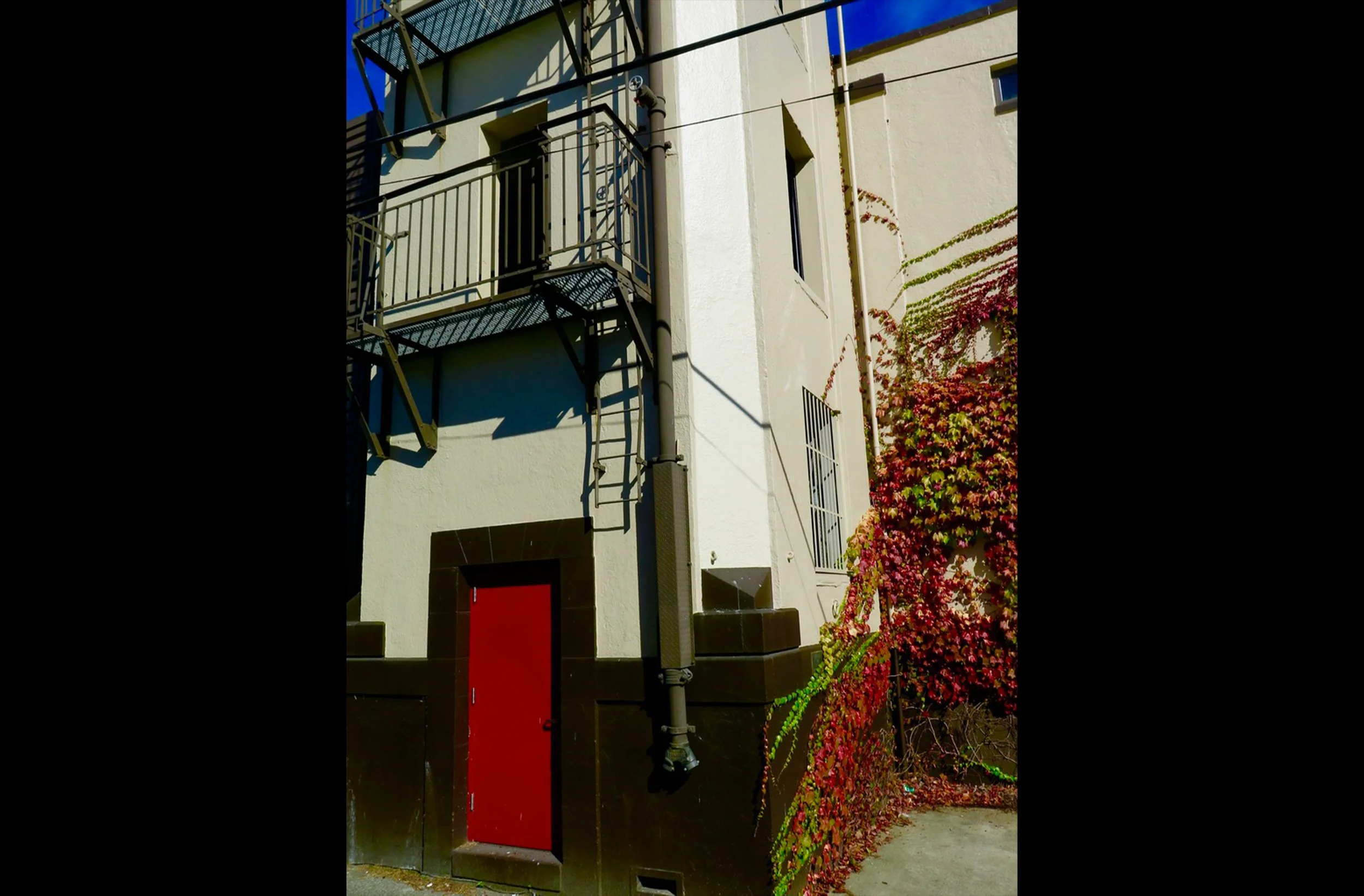 Fire Station Ivy.jpg
