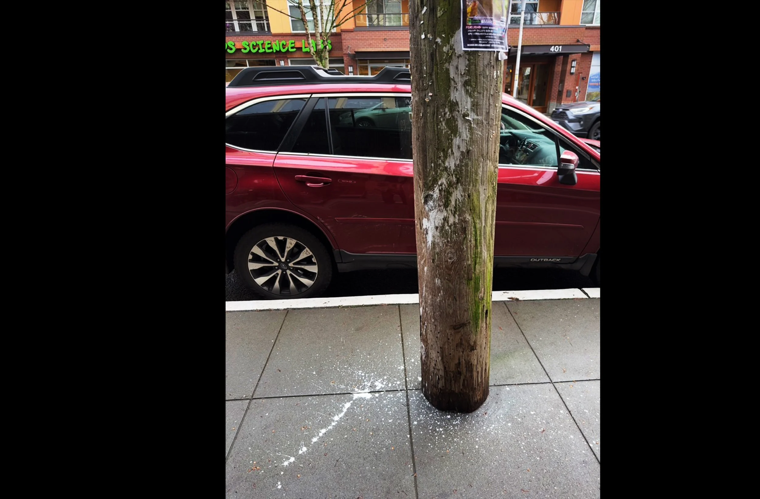 Pole with Paint Splatter.jpg