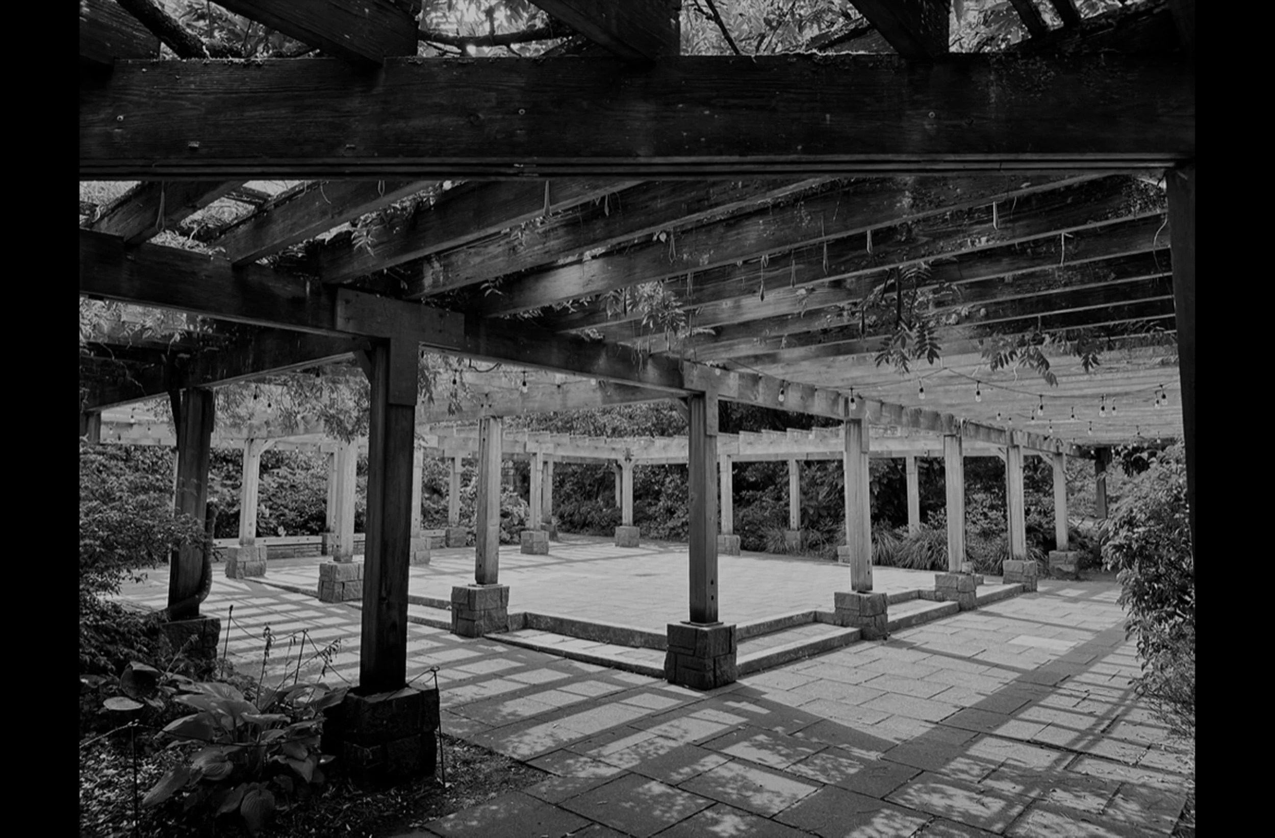Arboretum