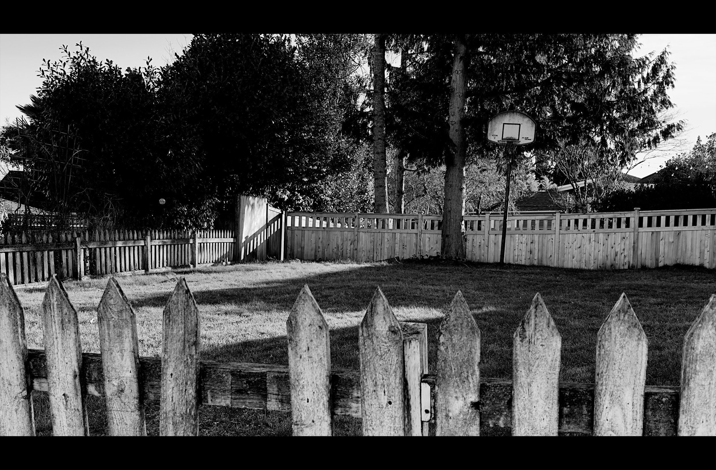 Backyard in Wedgwood