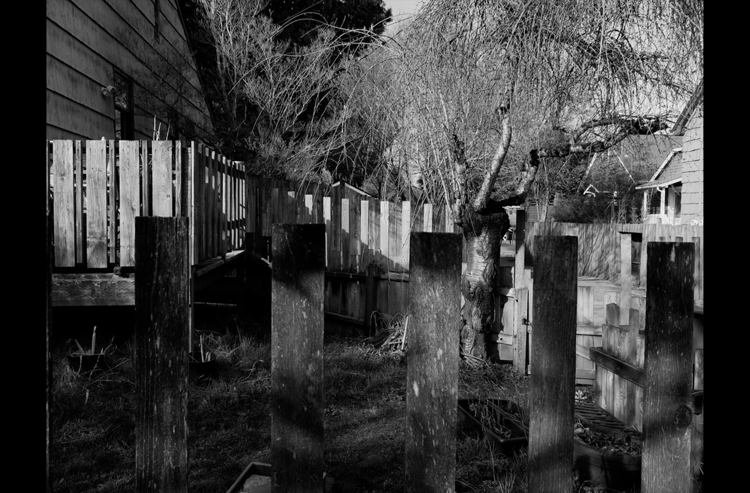 Backyard in Ravenna