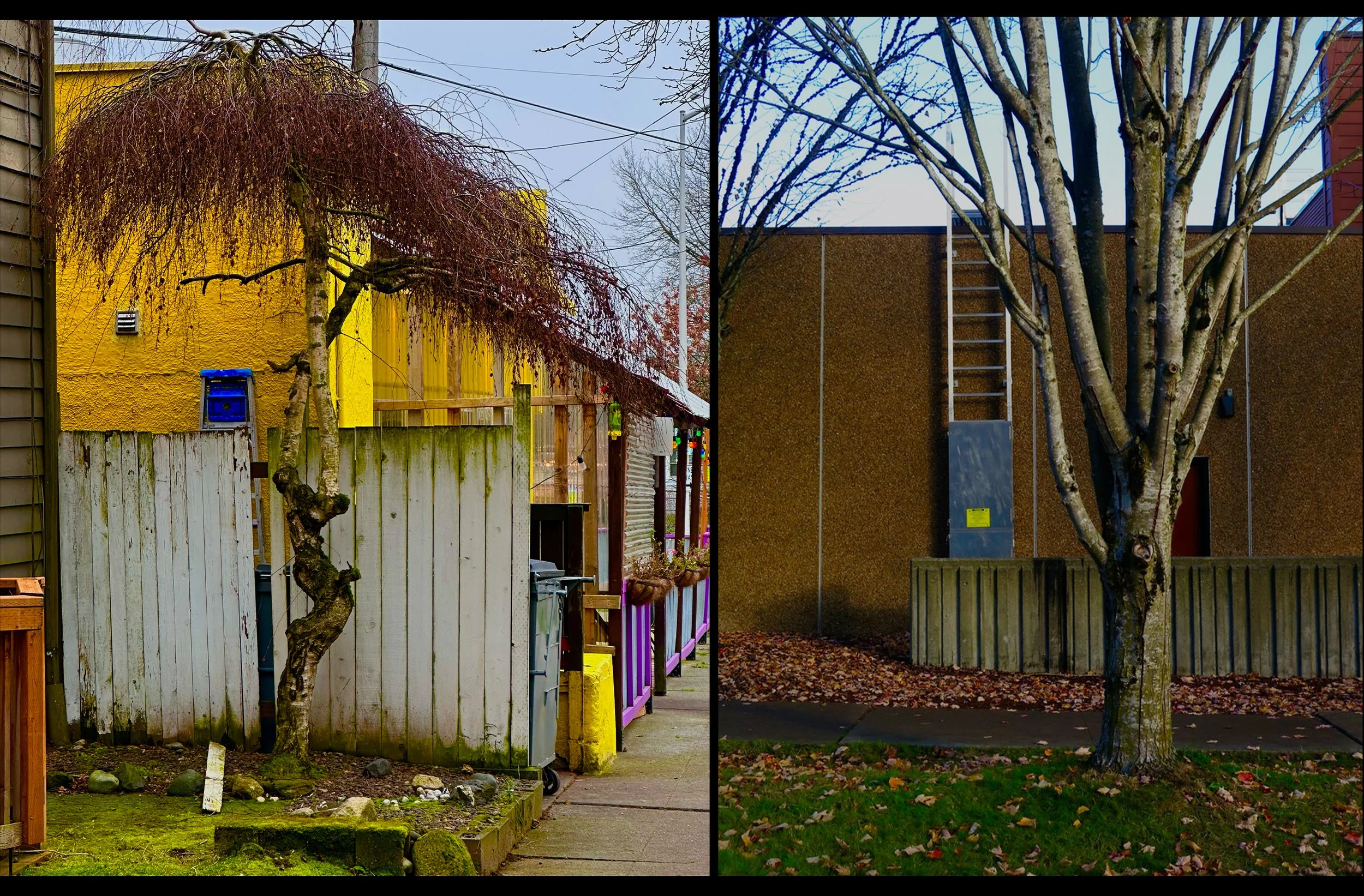 Diptych:  Autumn Walls