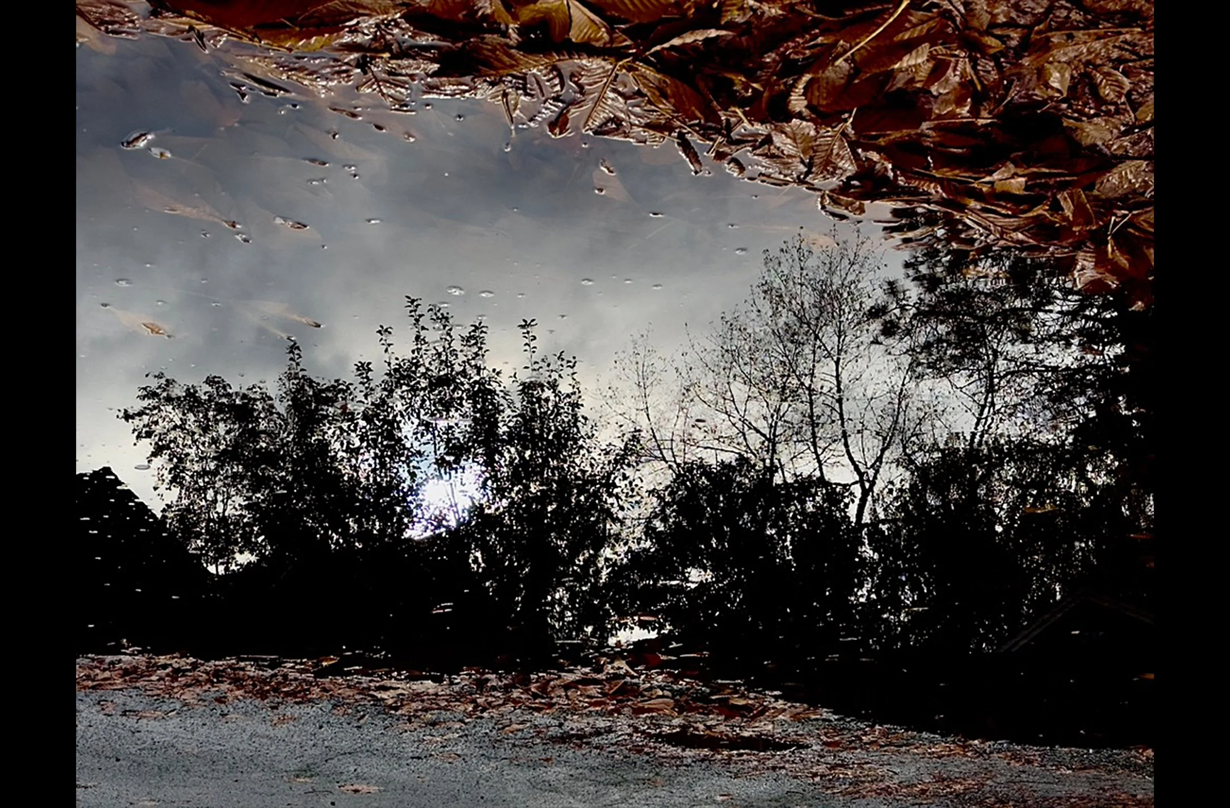 Autumnal Space No.2