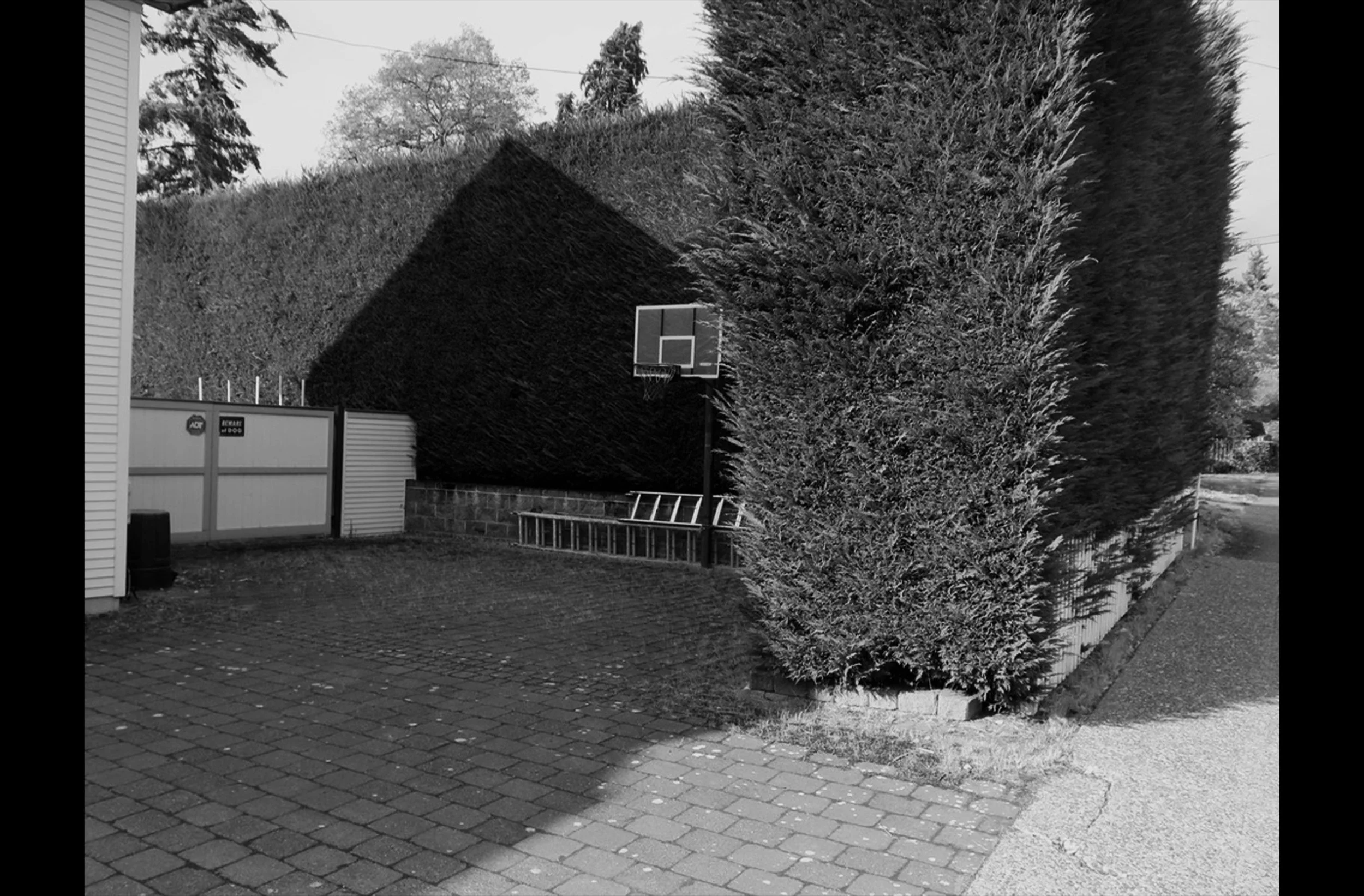 Drive Way