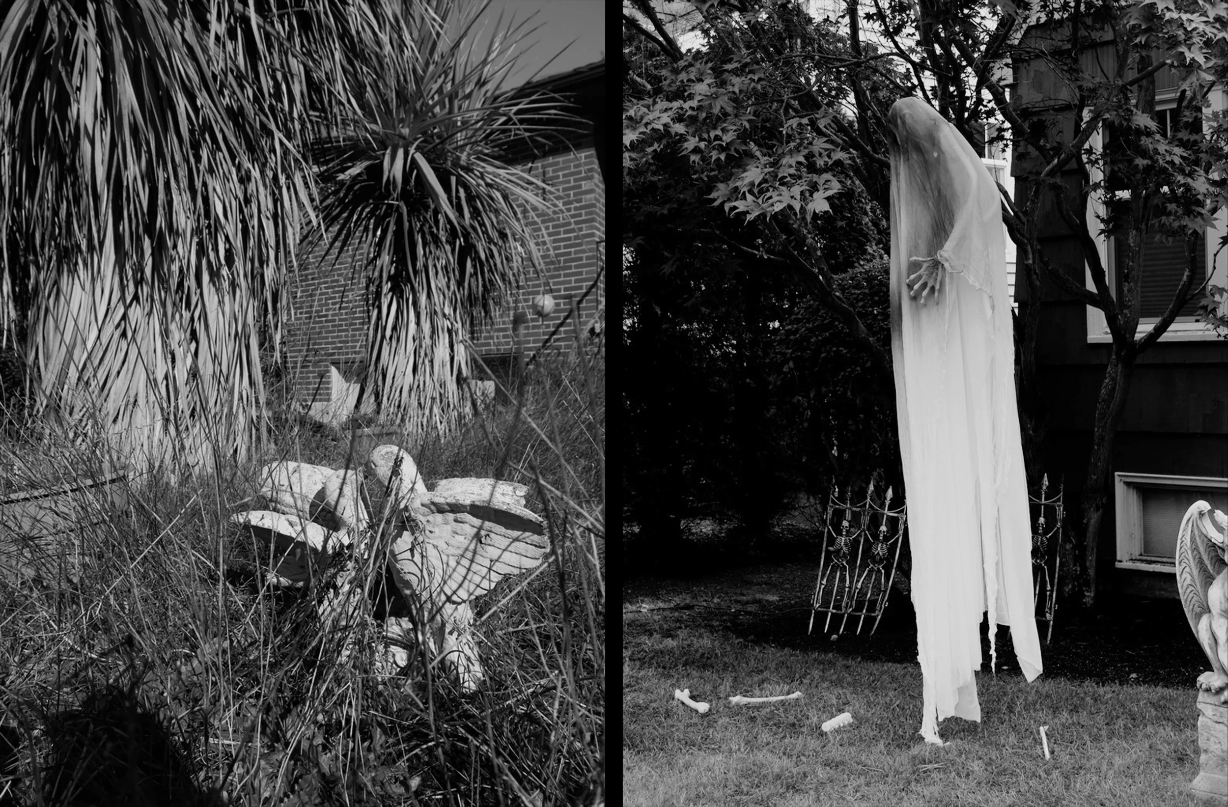 Diptych:  Love Birds &amp; Banshee