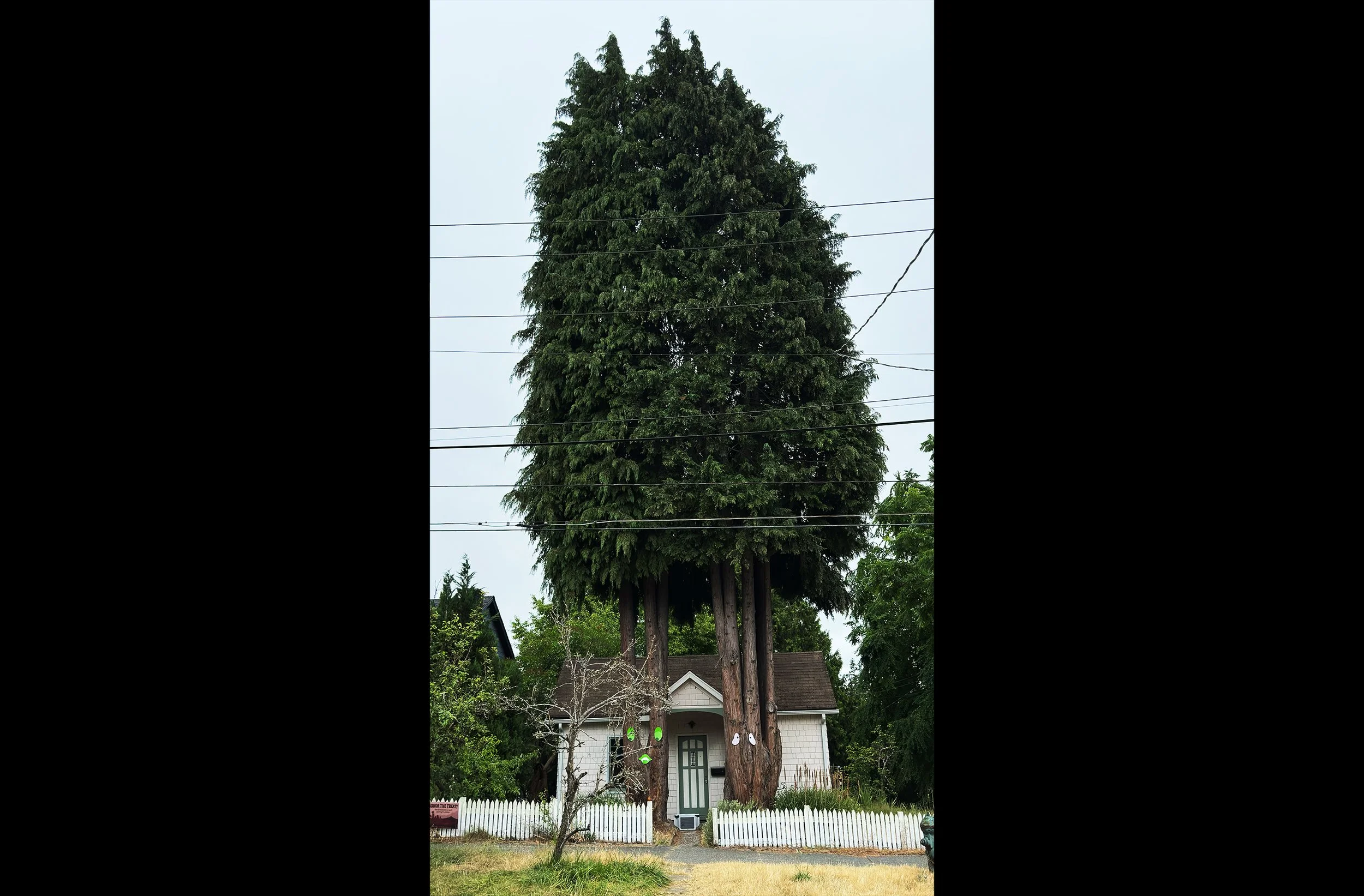 Old Seattle #1