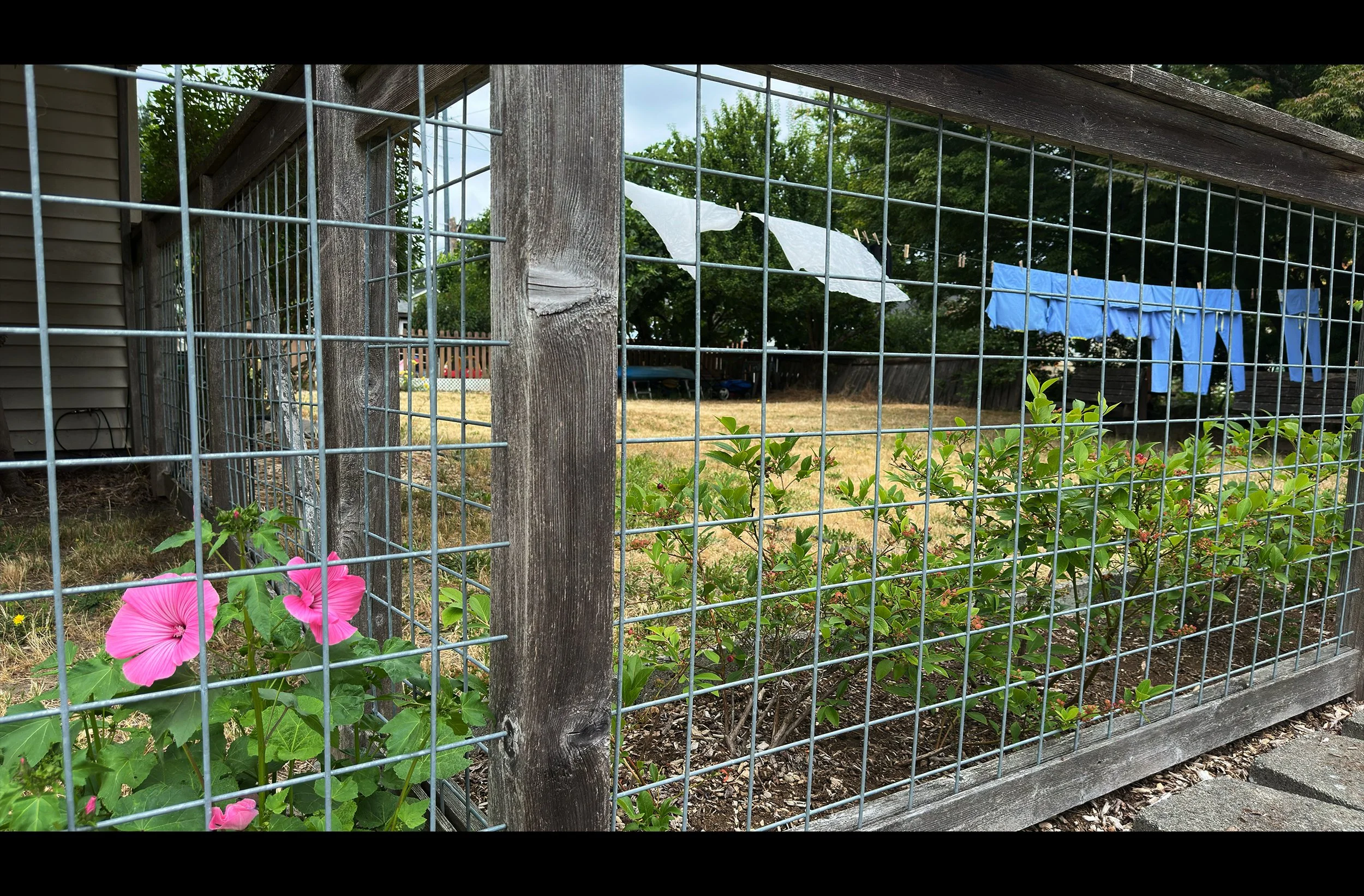 Clothesline