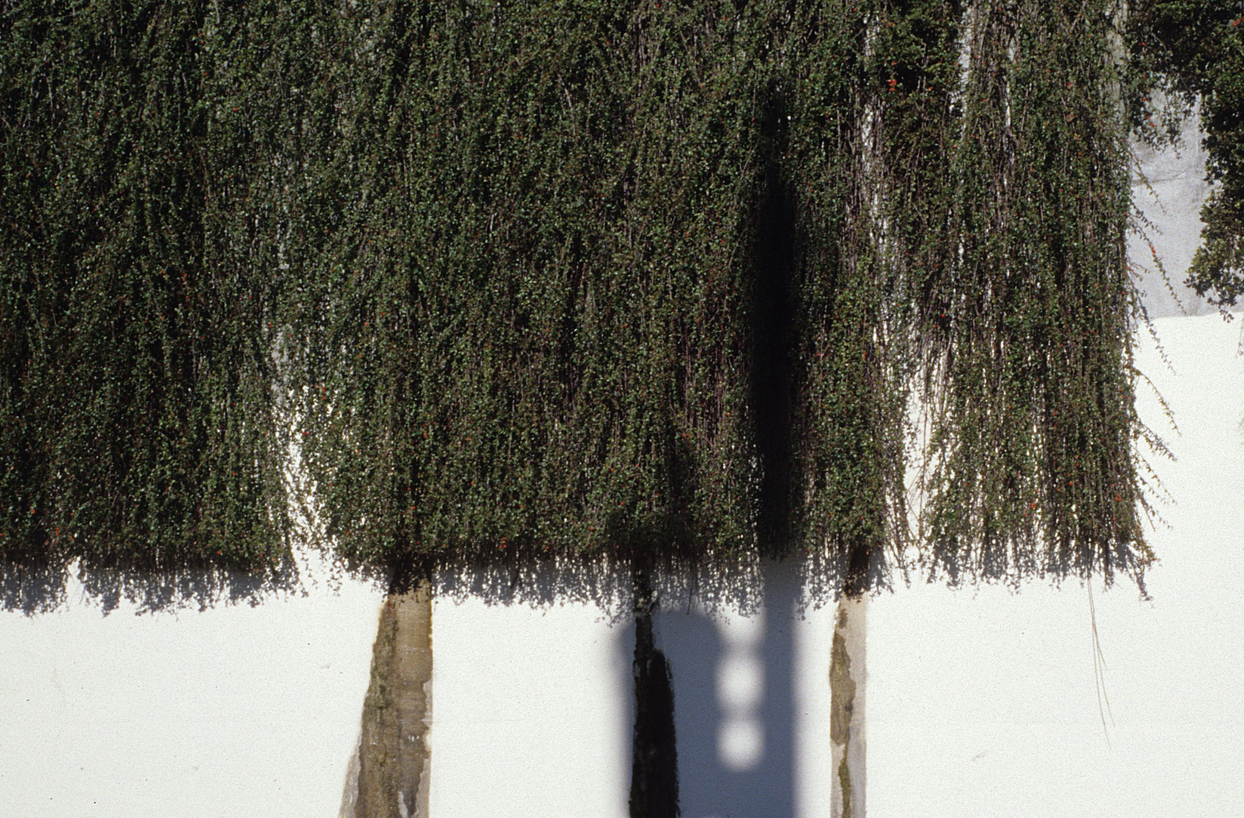 Interface