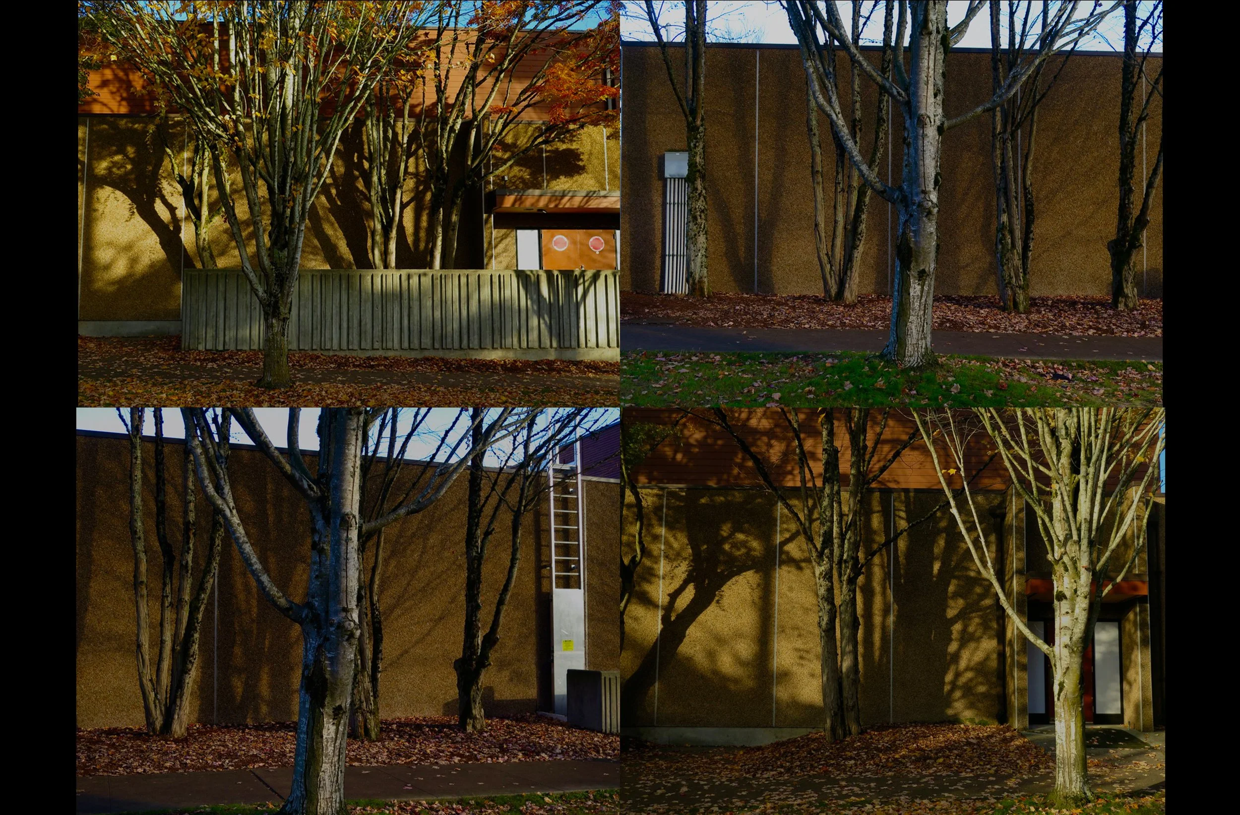Dislocation