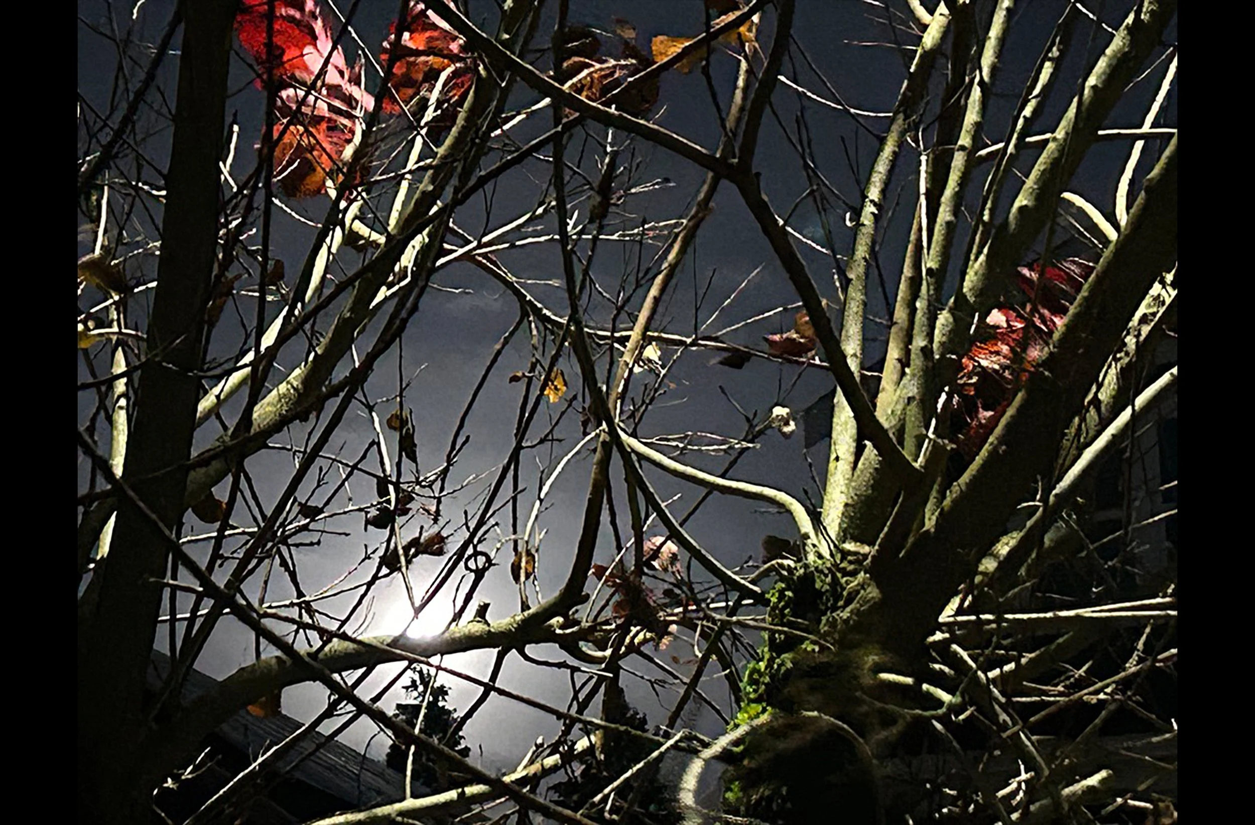 Old Seattle at Night #7