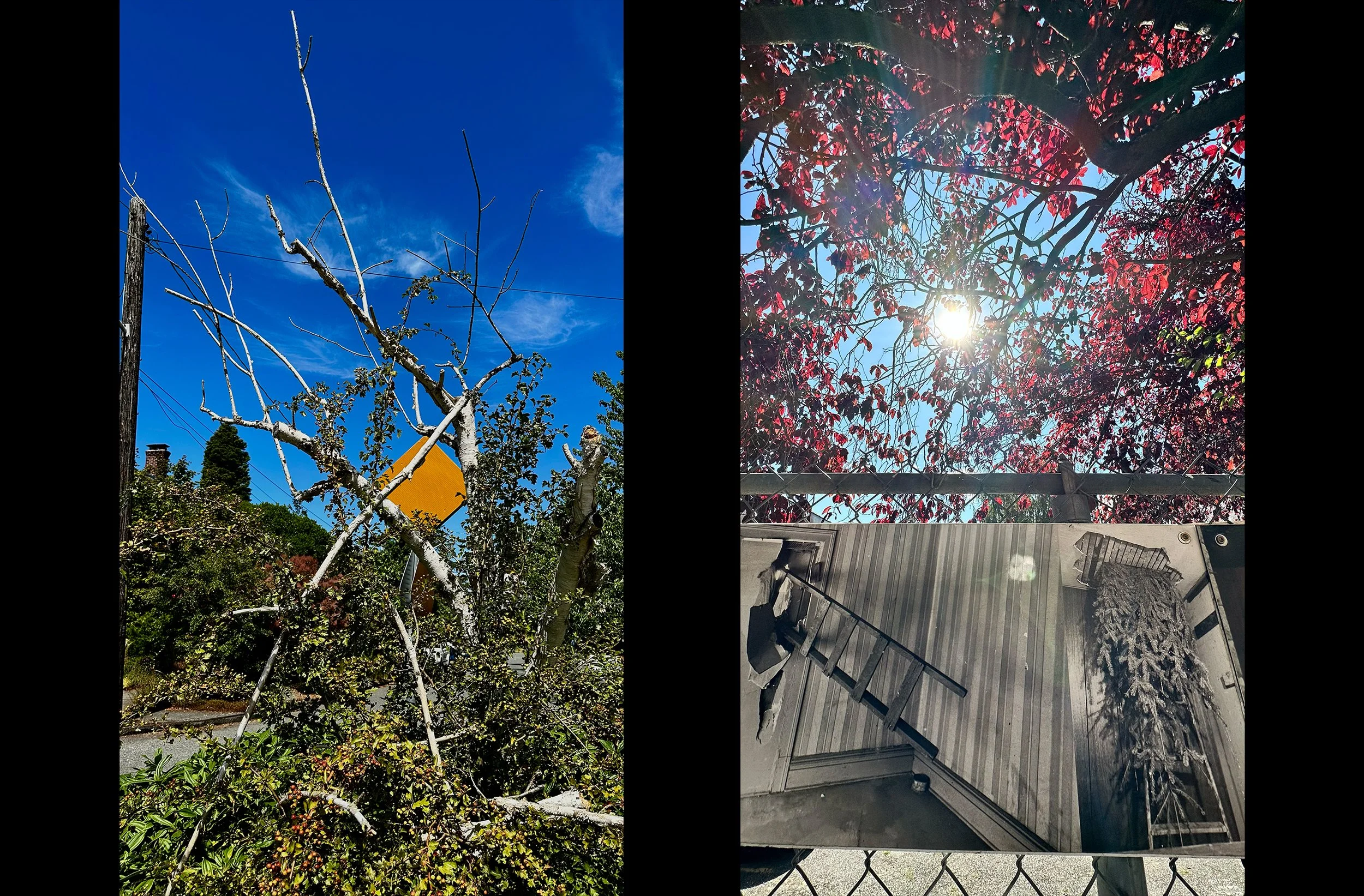 Diptych:  Dialogue