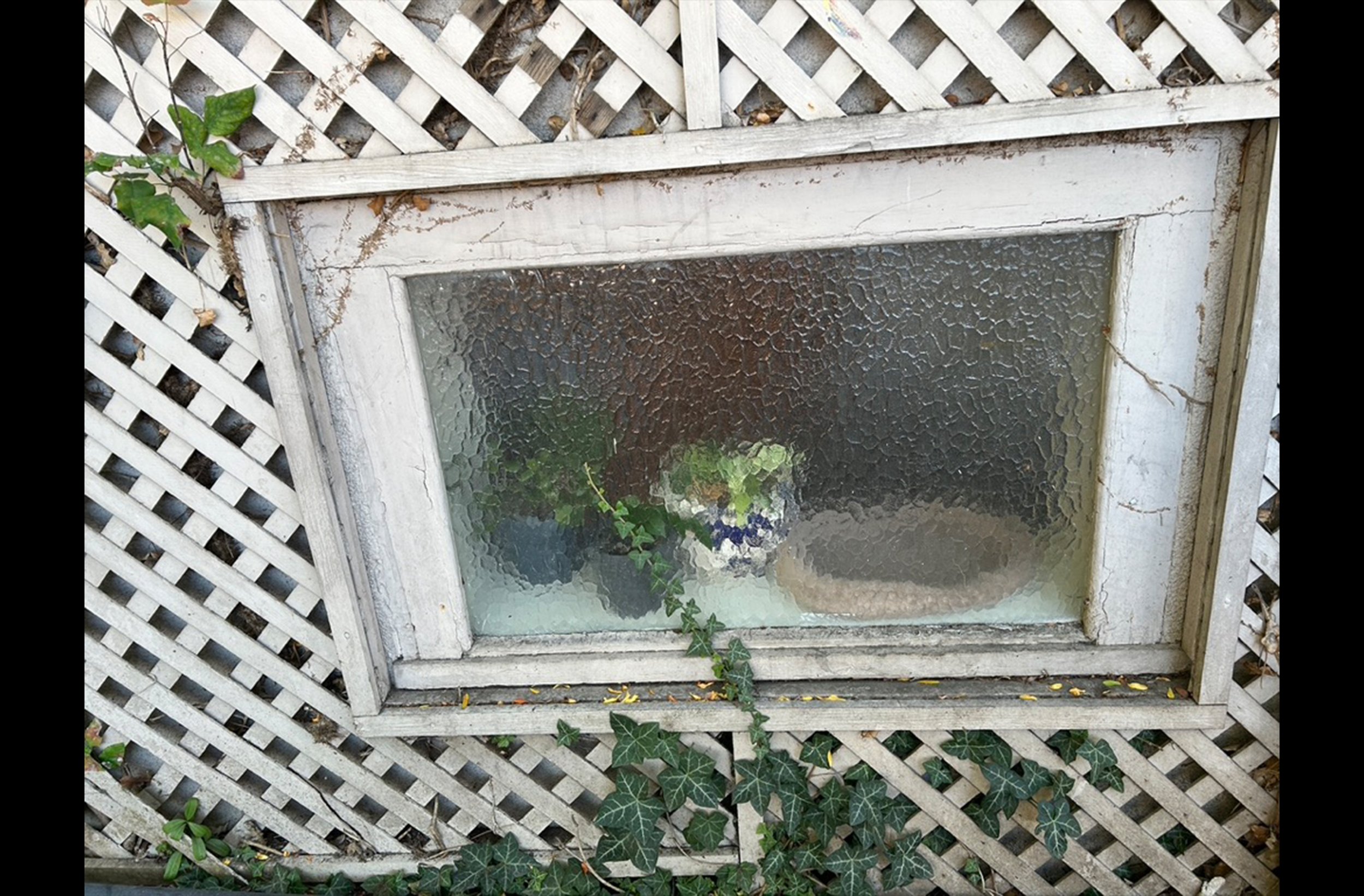 Window
