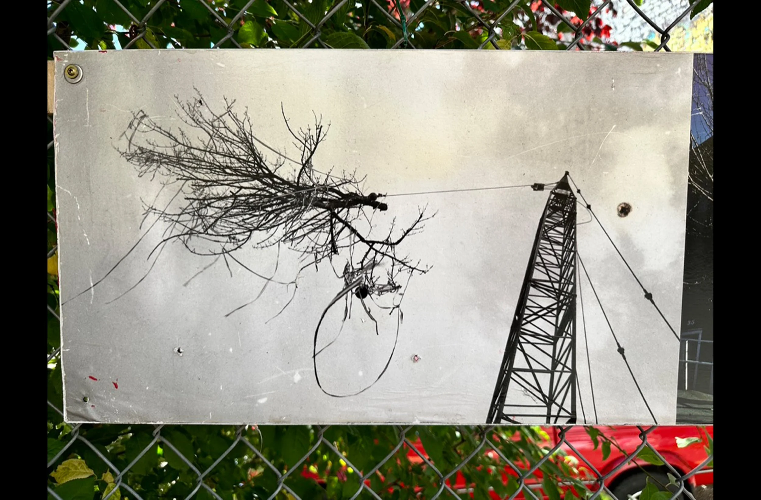 Fence Art #2