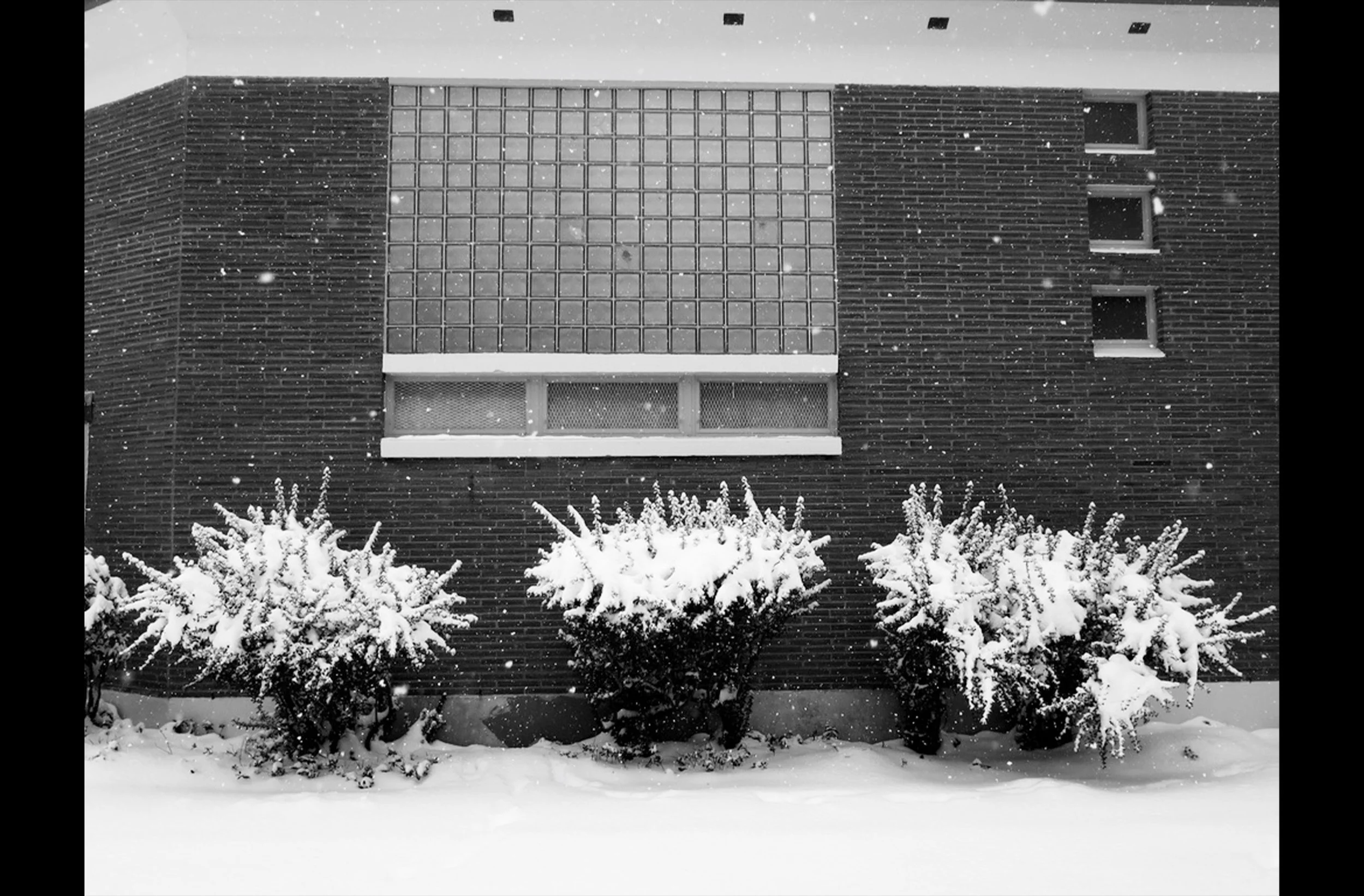 Eckstein Middle School in the Snow #2