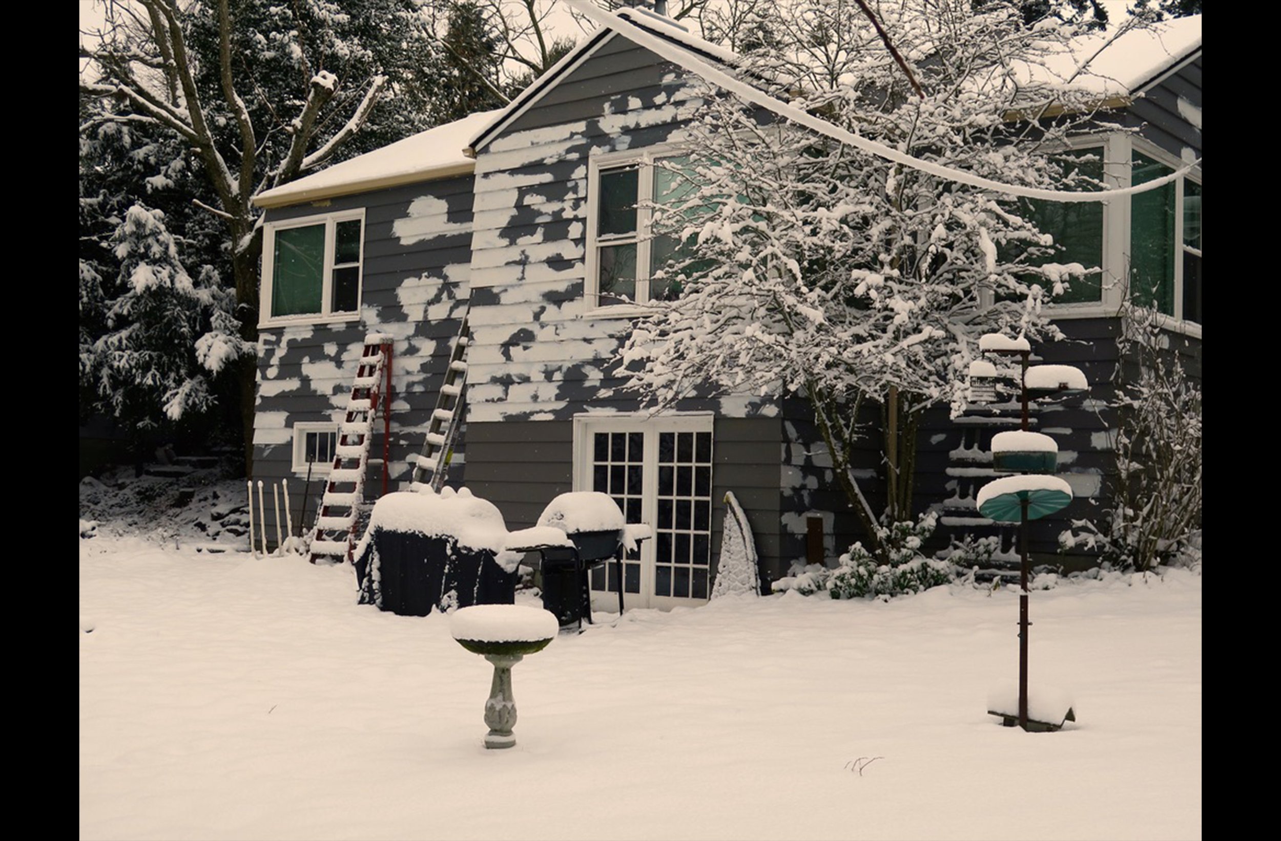 Old Seattle Backyard