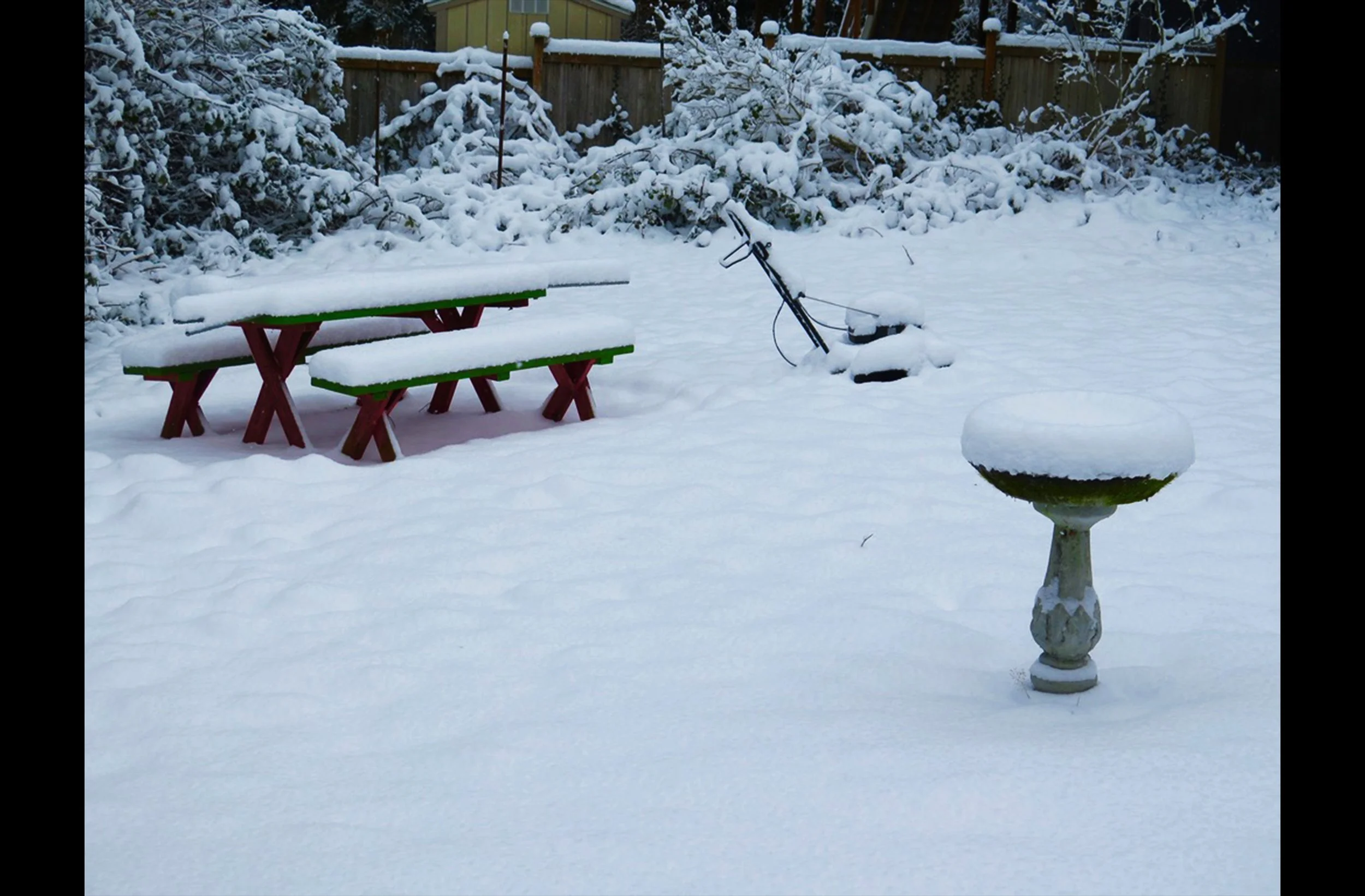 Summer in the Snow