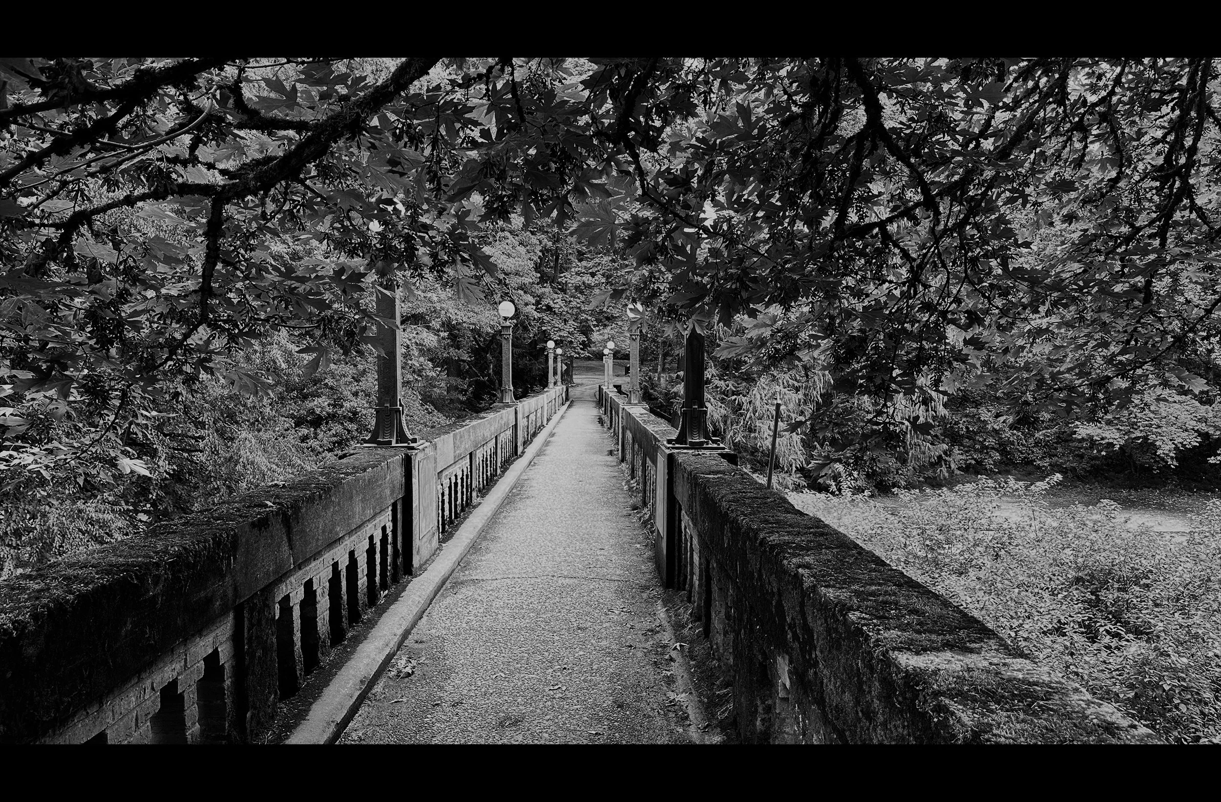 Arboretum Bridge