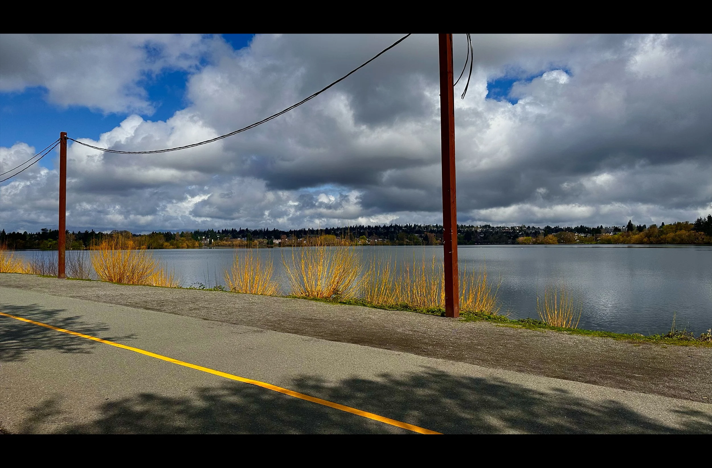 Poles with Yellow Harmonies