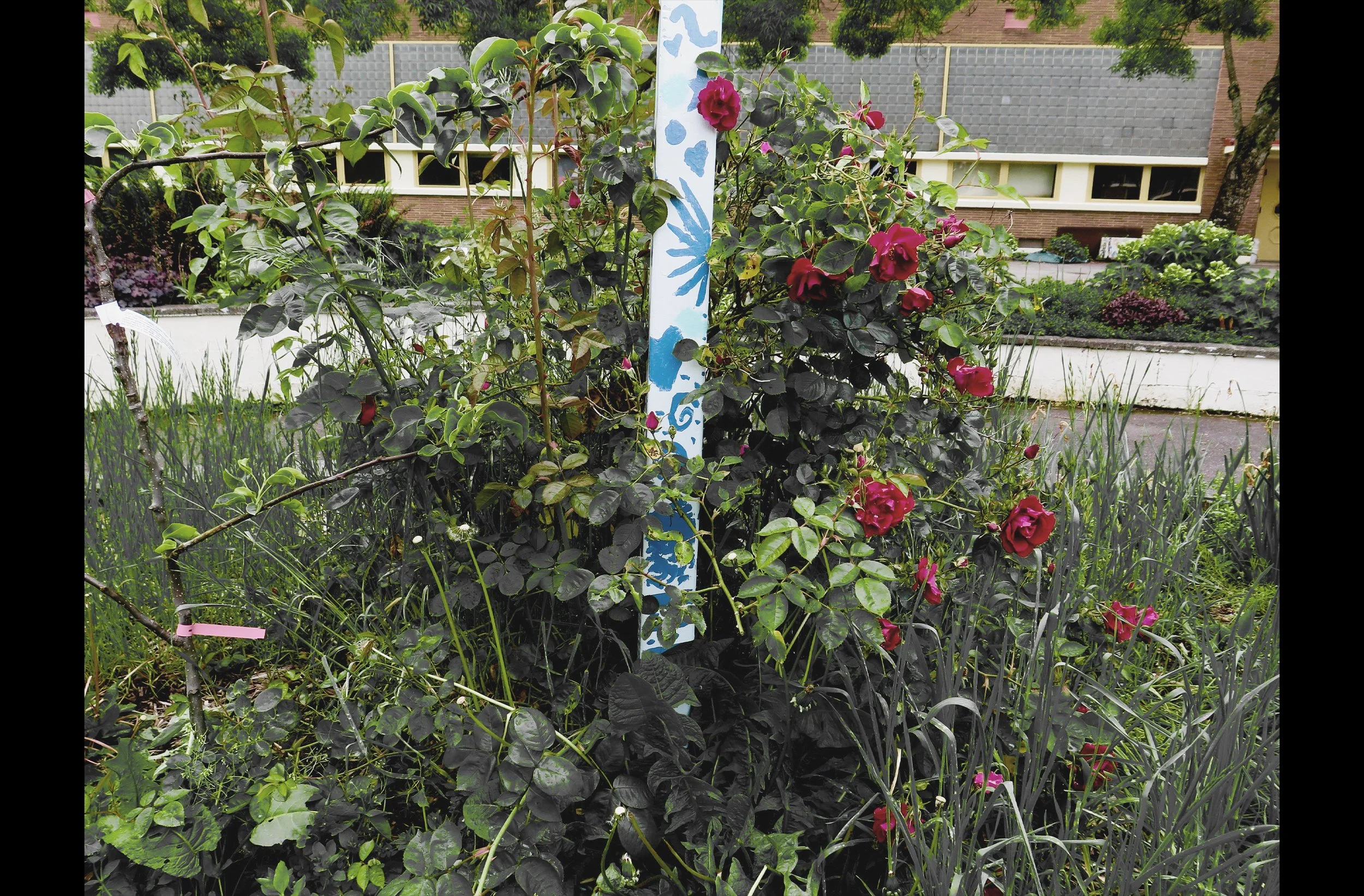 Pole with Roses