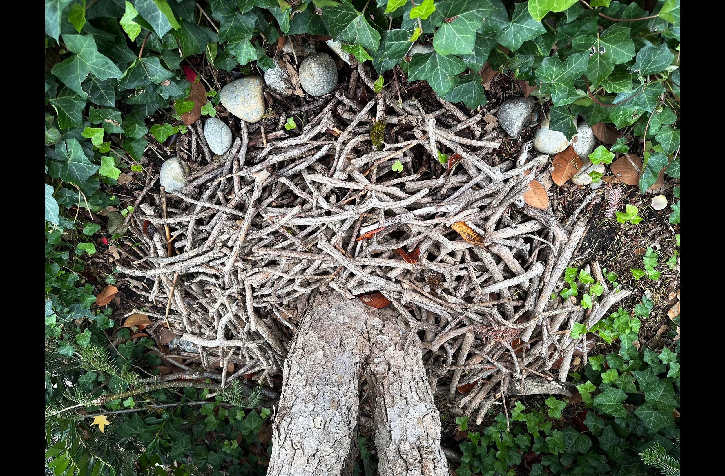Anti-gravity Sculpture