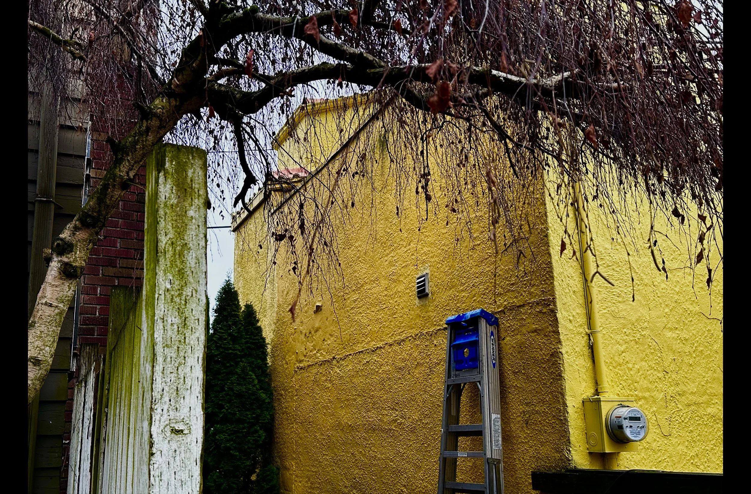 Autumn Walls #3