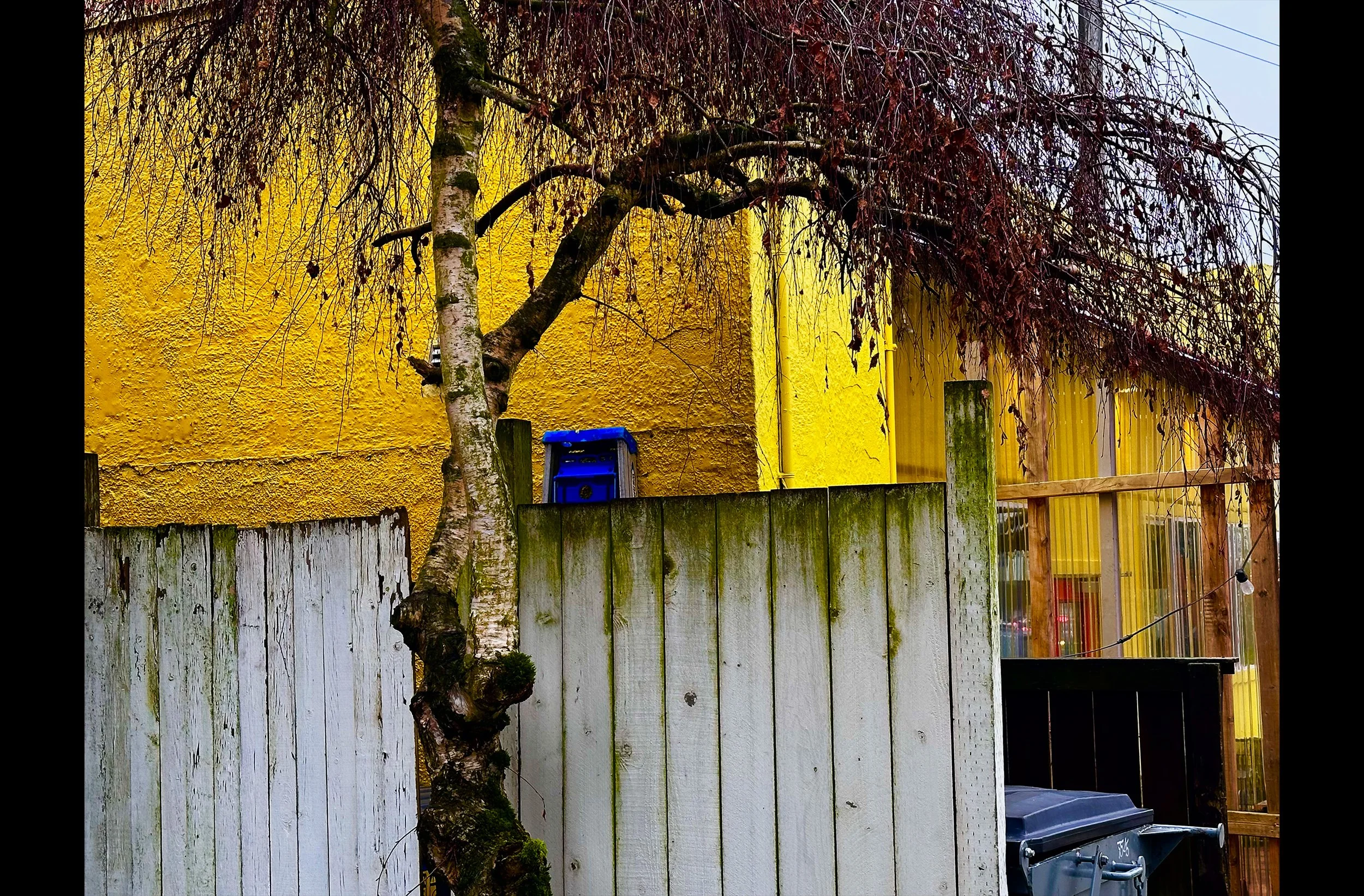 Autumn Walls #2