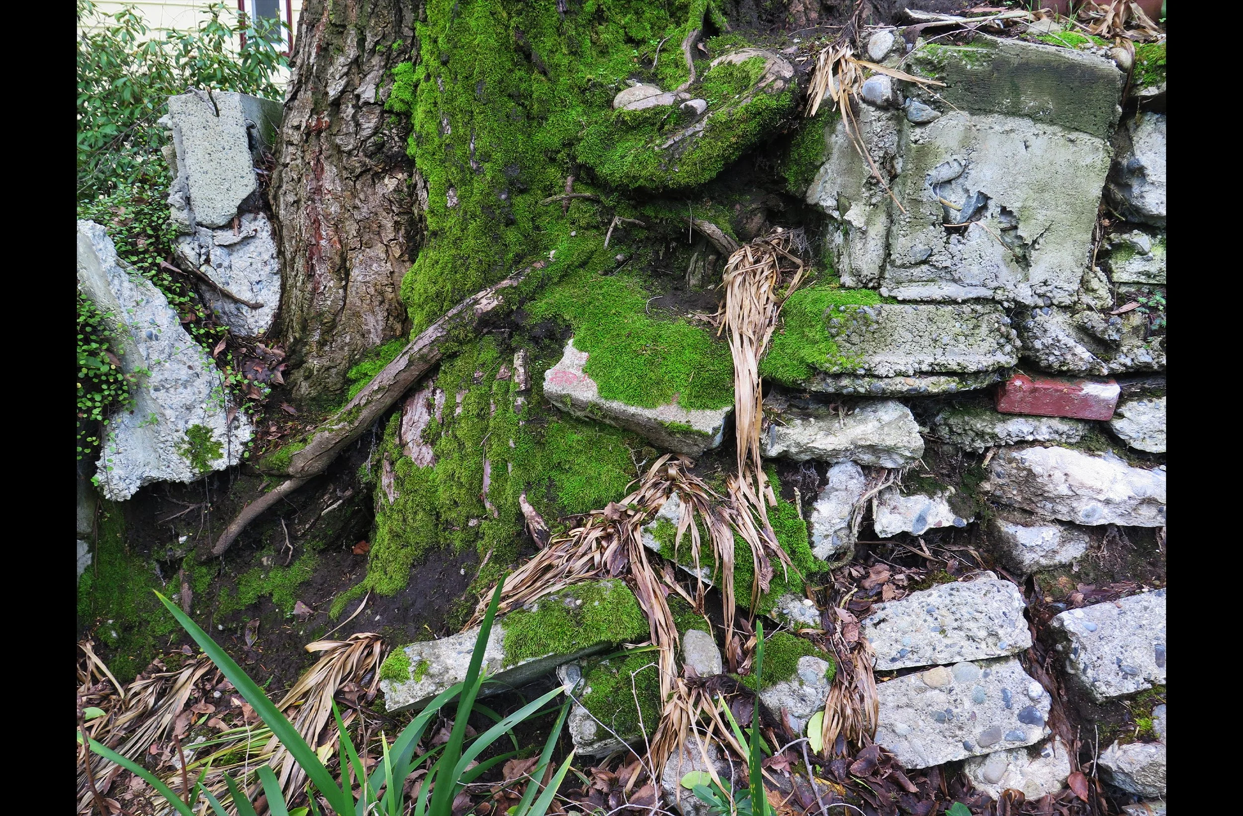 Arte Povera #2