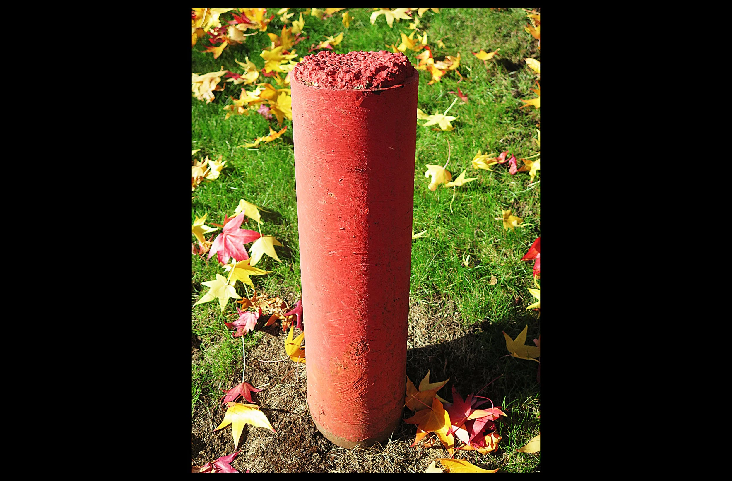 Pole with Autumn Leaves