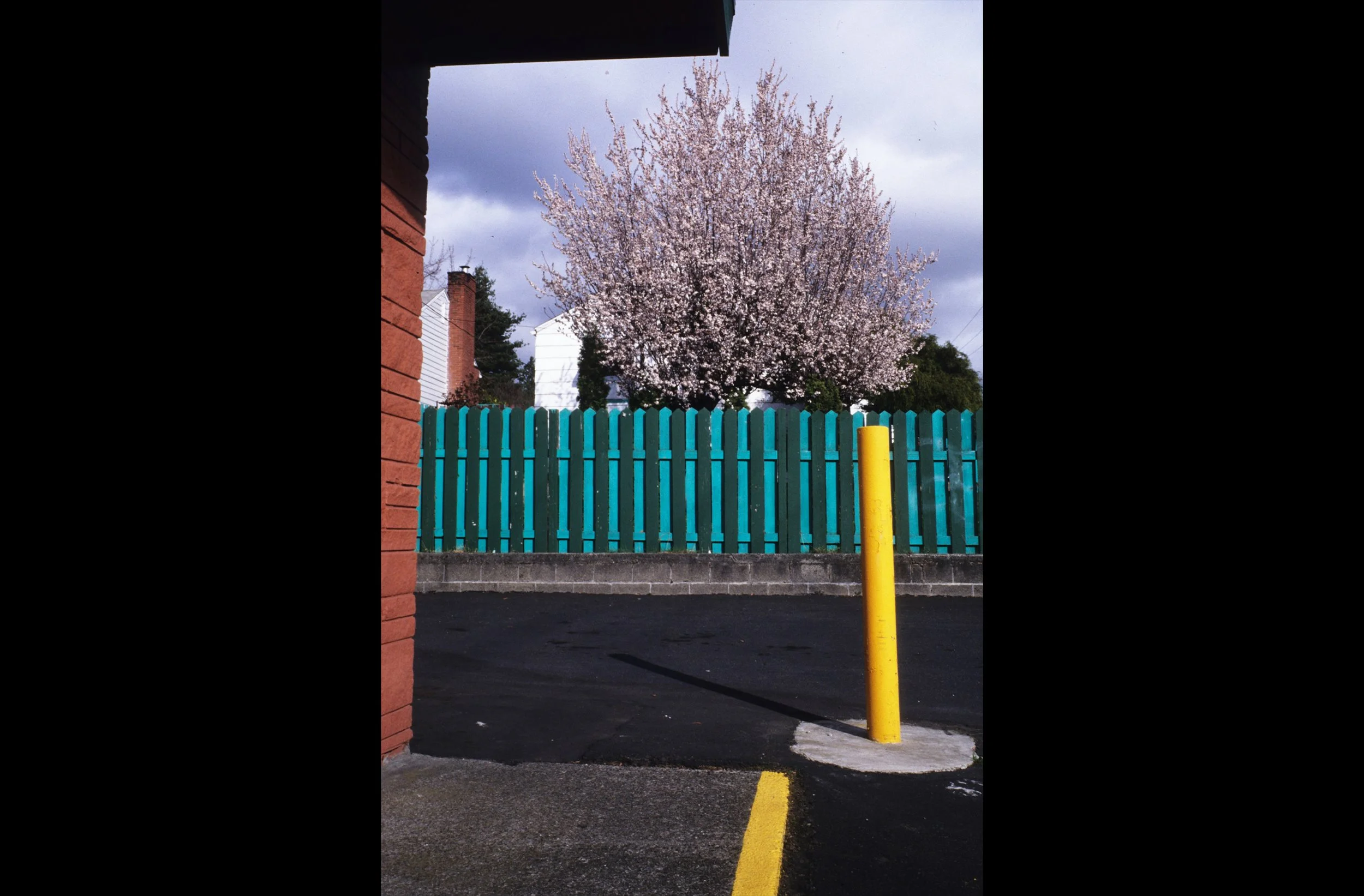 Pole with Aquamarine Fence in Spring