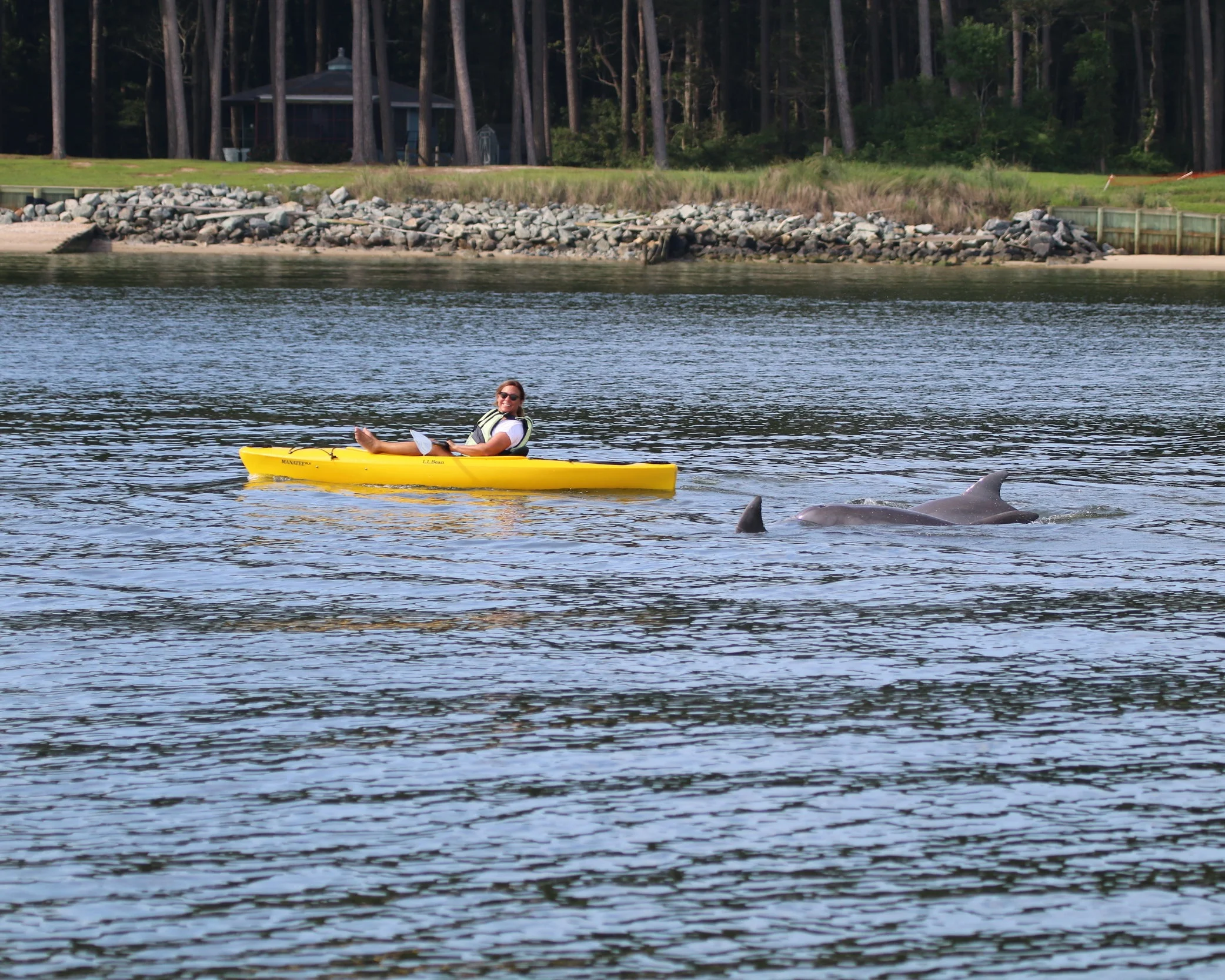 Janet Mann kayaking with dolphins in the Potomac River Photo credit Ann-Marie Jacoby, NMFS permit 19403, Potomac-Chespakeake Dolphin Project.