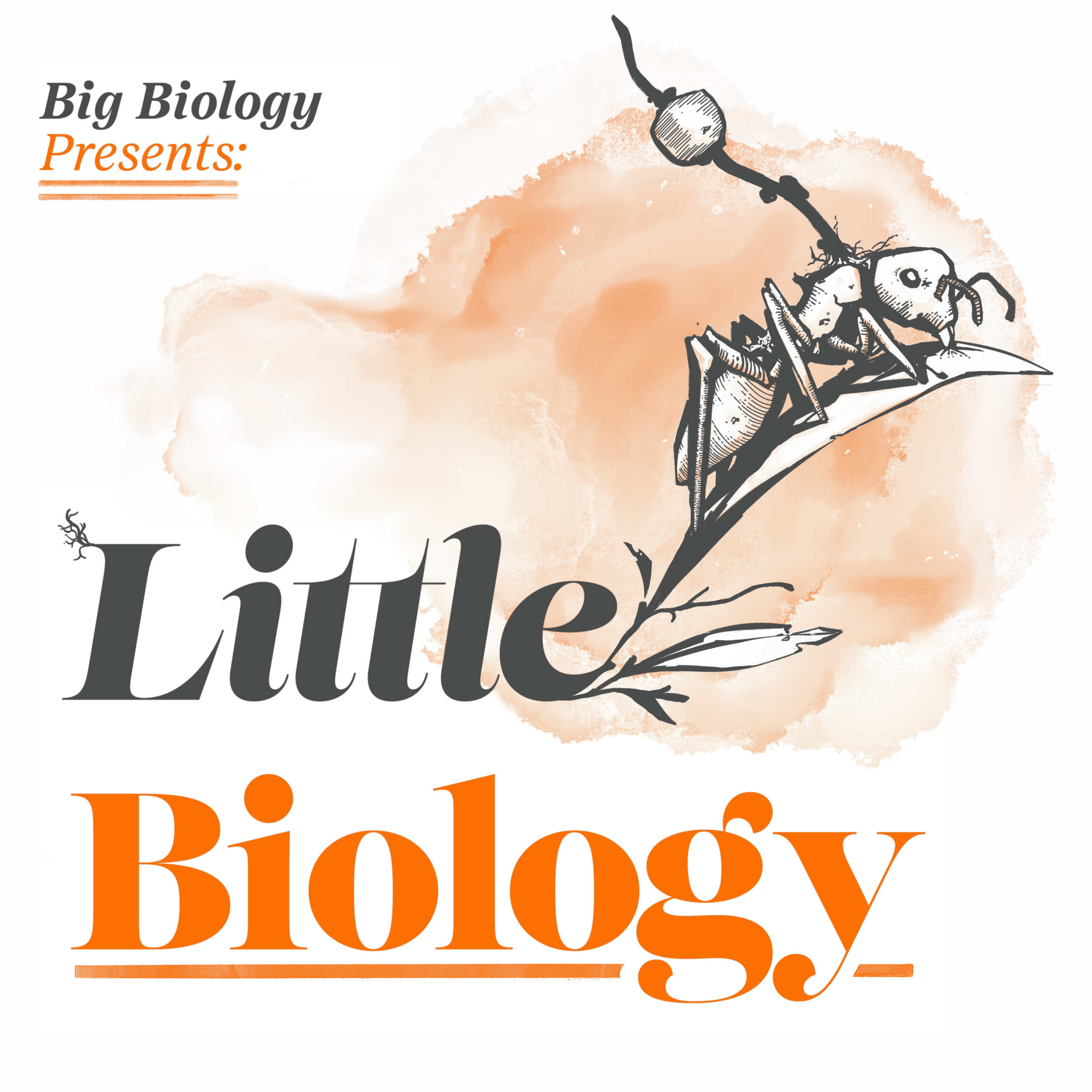 Little Biology: Zombie Parasites 