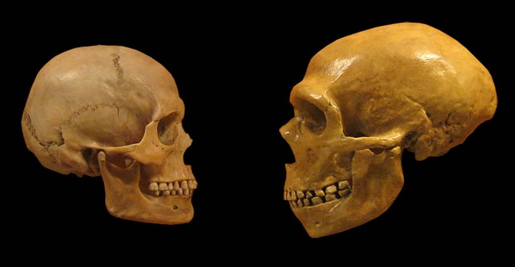 Ep 47: The Origin of Us: Human Evolution (with Kate Wong)