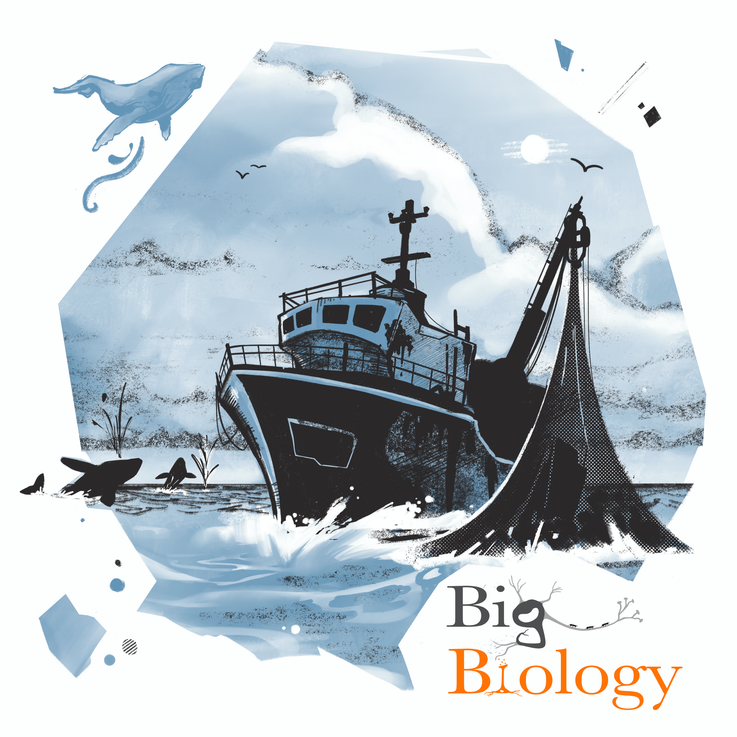 Ep 80: Human-wildlife conflict in a changing world (with Briana Abrahms)