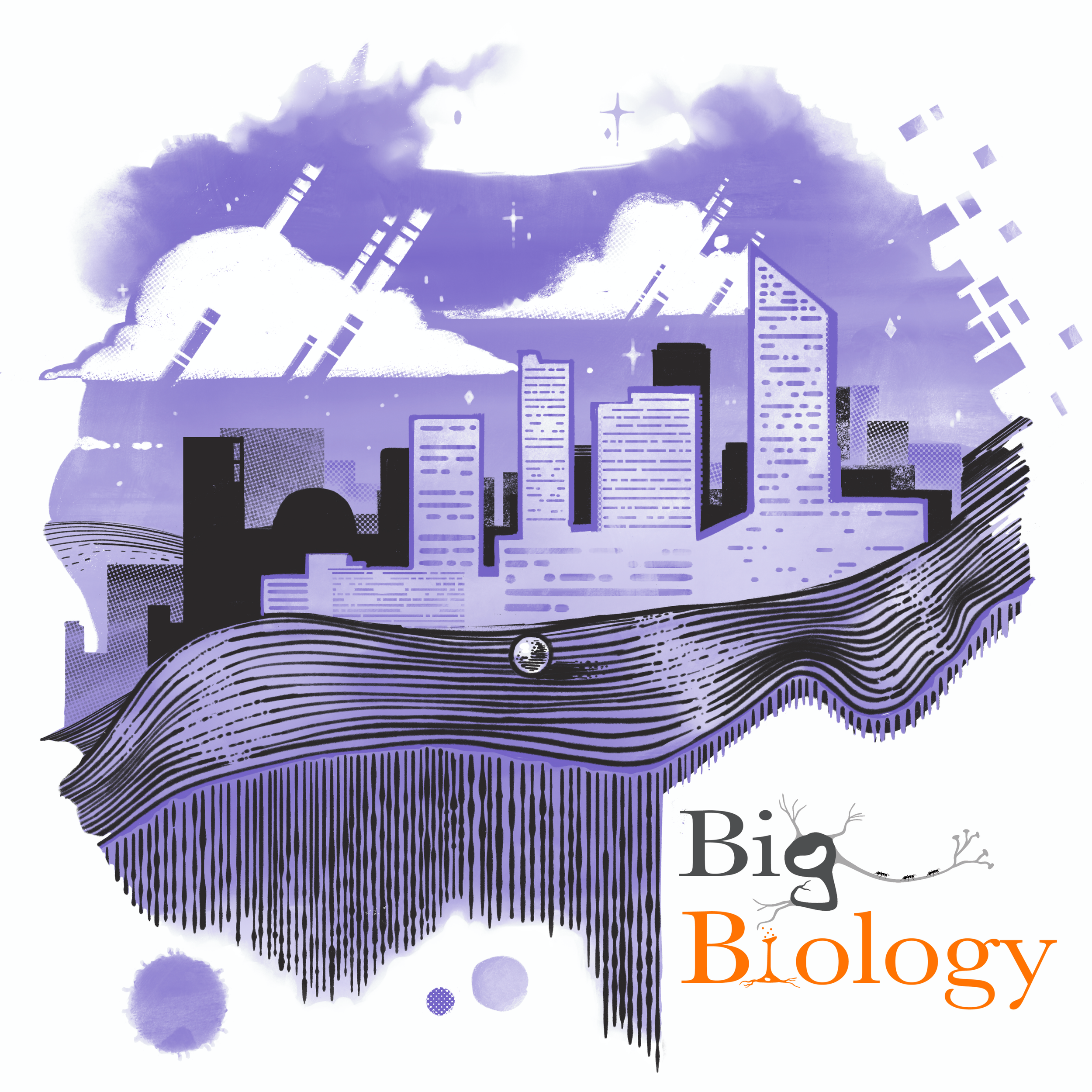 Ep 79: How the genetic lottery affects complex human traits (with Kathryn Paige Harden)