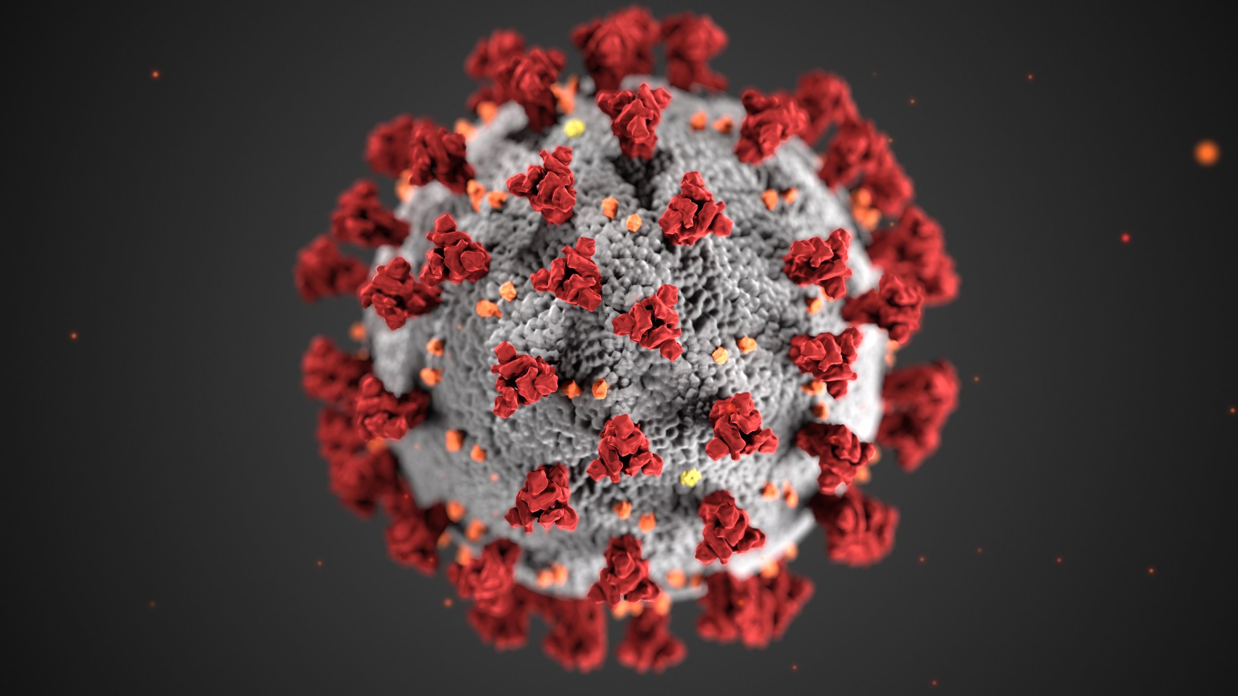 Ep 41: Coronavirus II (with Andy Dobson)
