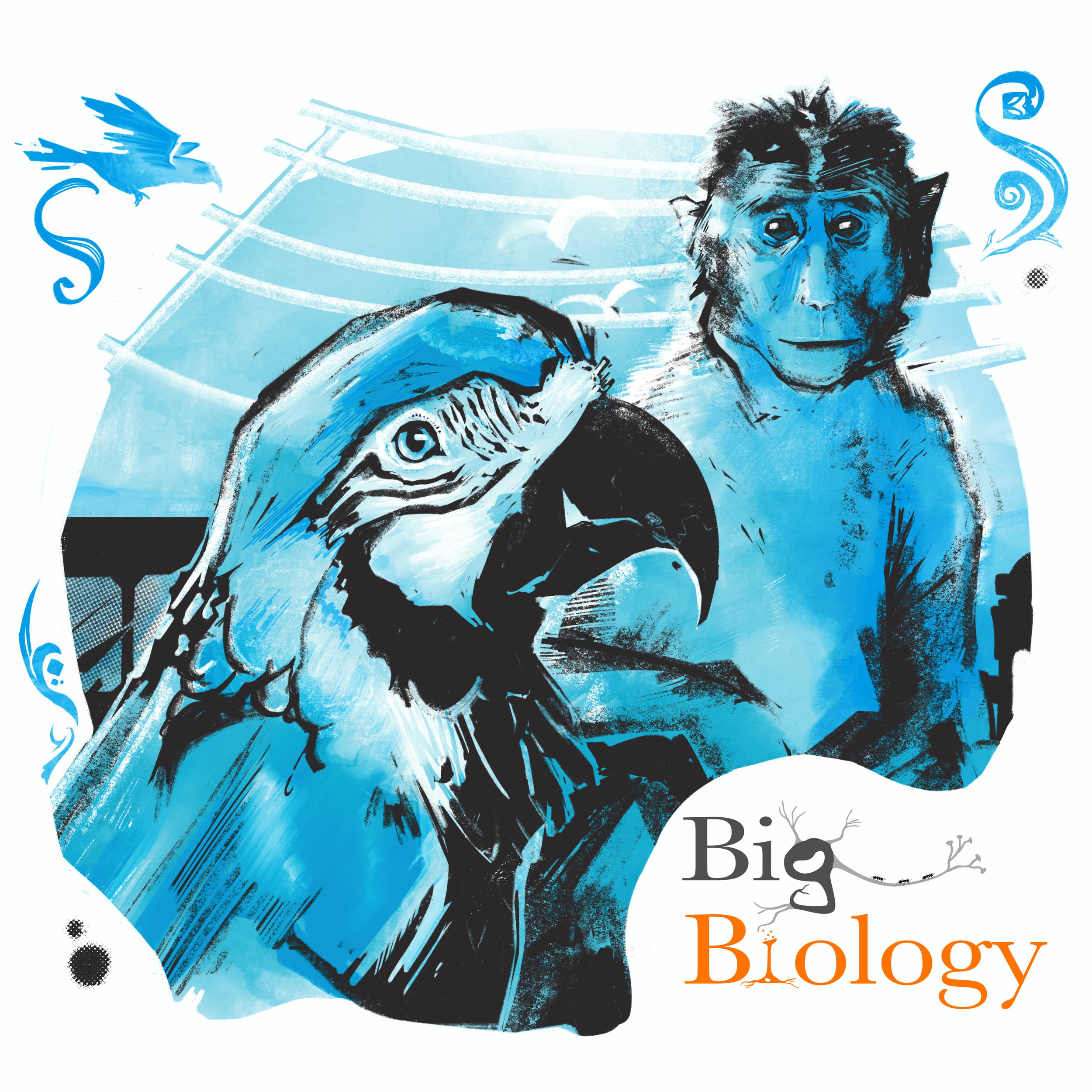 Ep 76: Beasty beats: The origins of musicality (with Henkjan Honing)