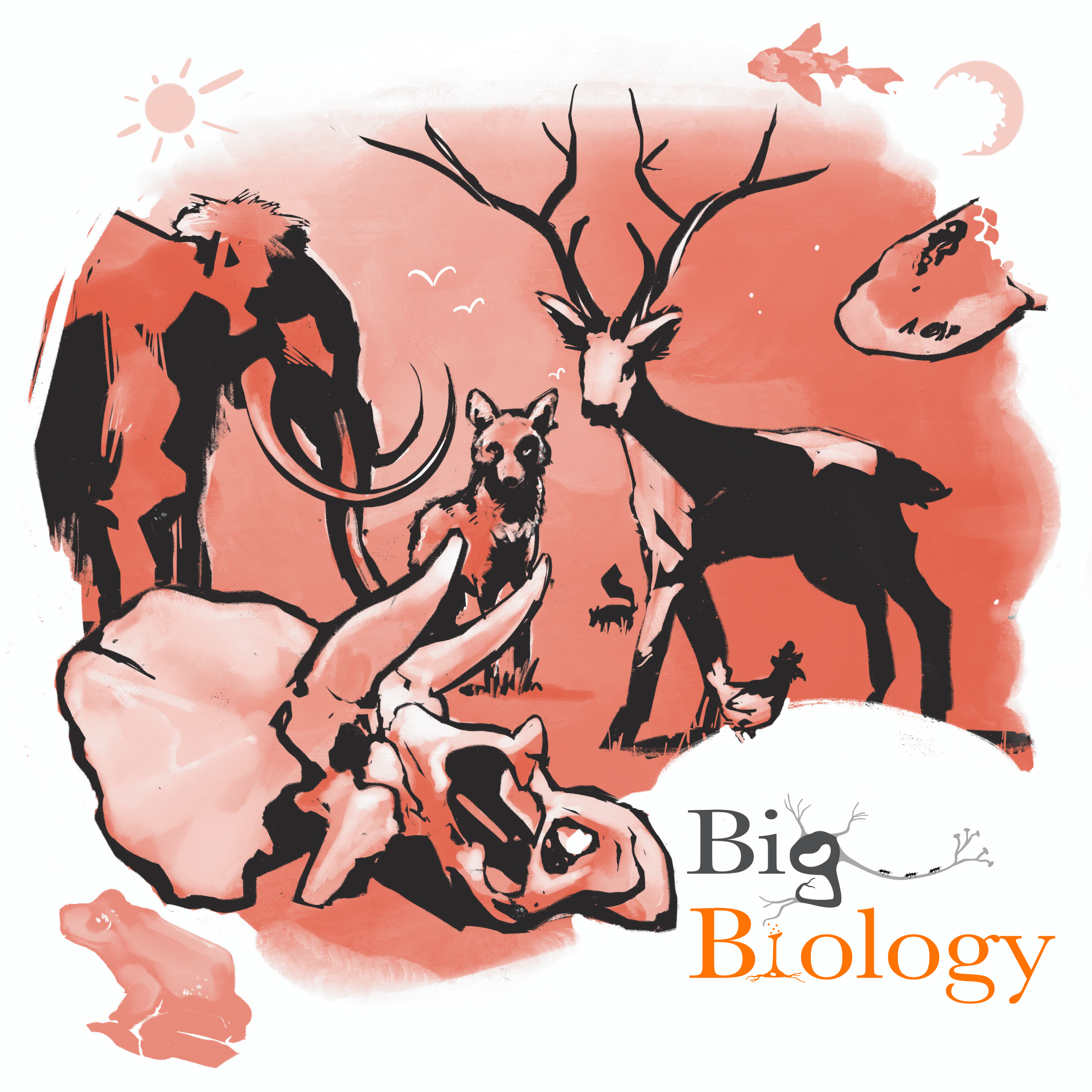 Ep 77: A (Very) Short Interview with Henry Gee: 4 Billion Years in 30 Minutes (with Henry Gee)