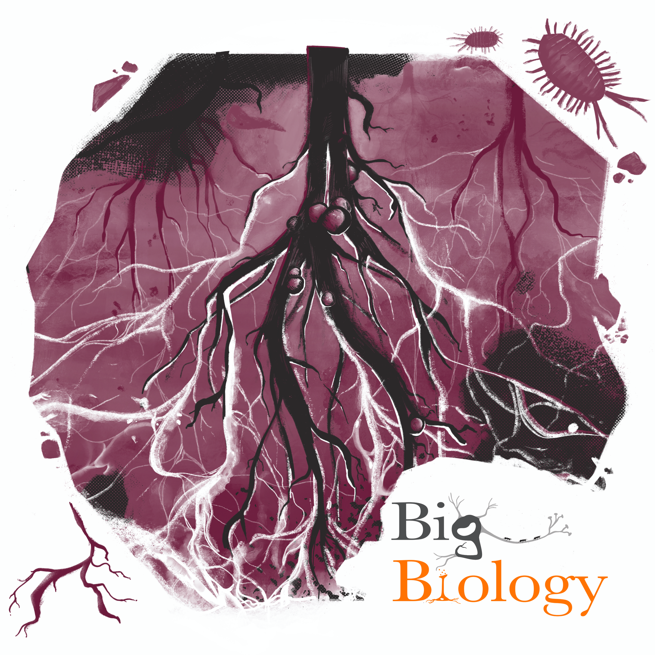 Ep 75: Hidden network: The evolutionary relationship between arbuscular mycorrhizal fungi and plants (with Toby Kiers)