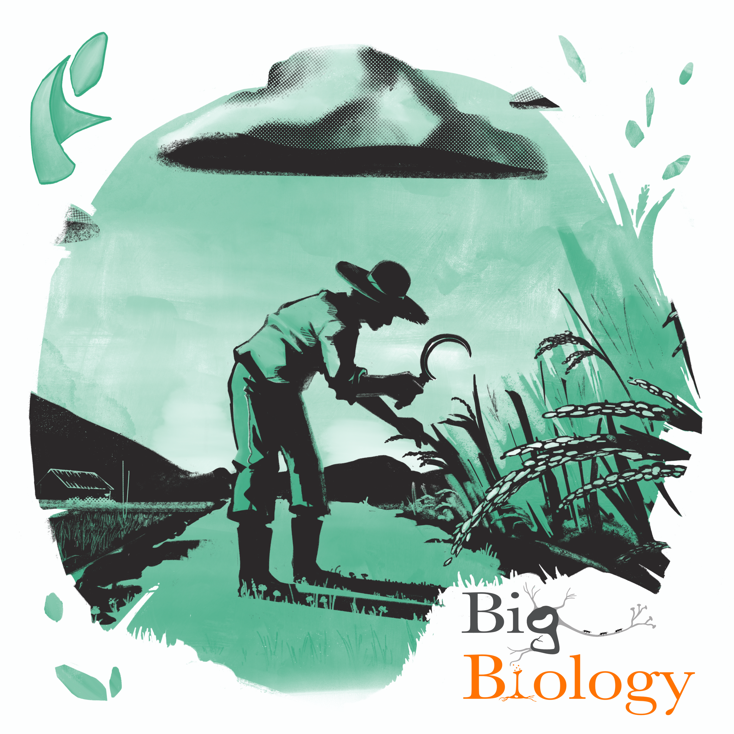 Ep 74: Food for thought: Plant domestication and the promise of green super rice (with Michael Purugganan)