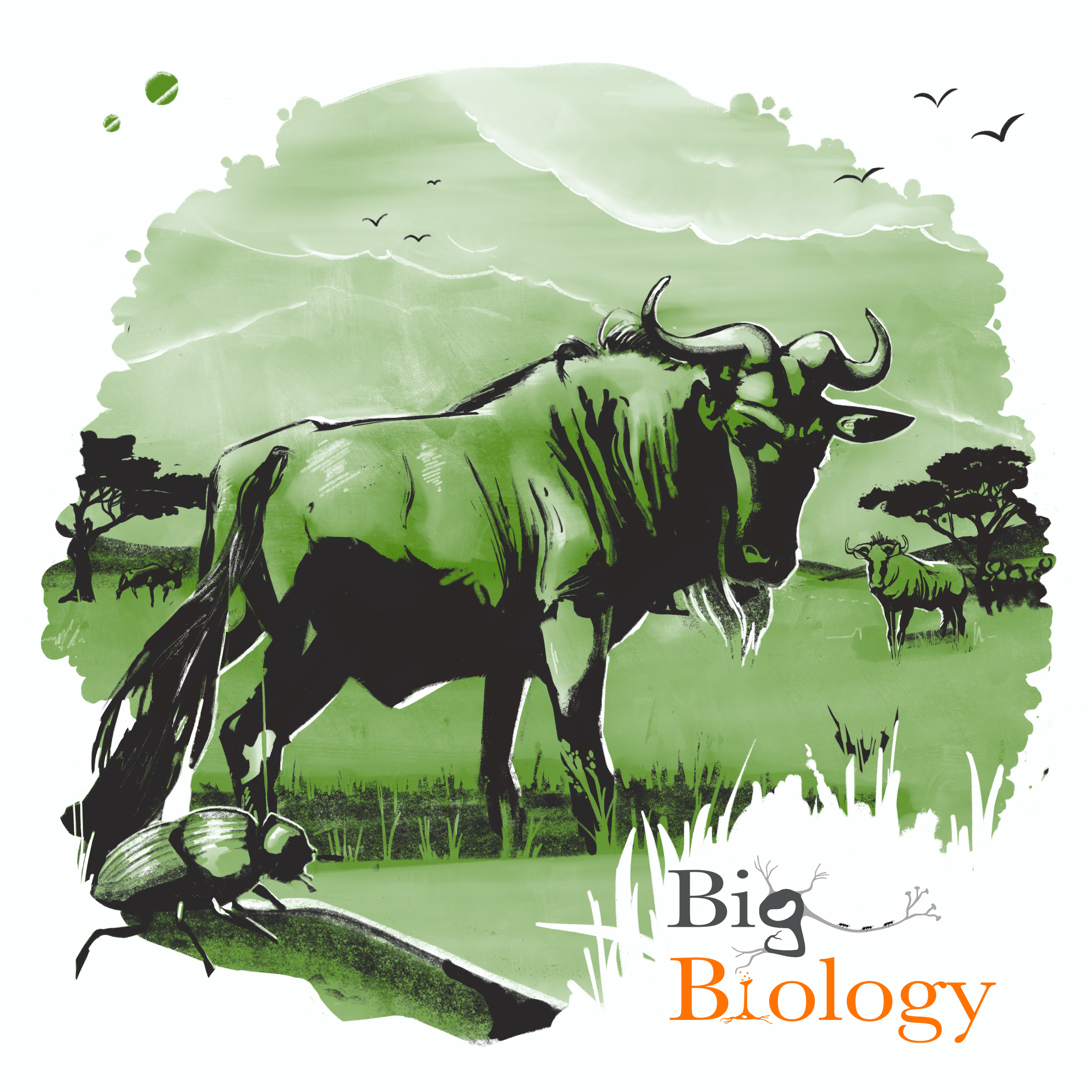 Ep 72: Stability and change: Lessons from the Serengeti (with Tony Sinclair)