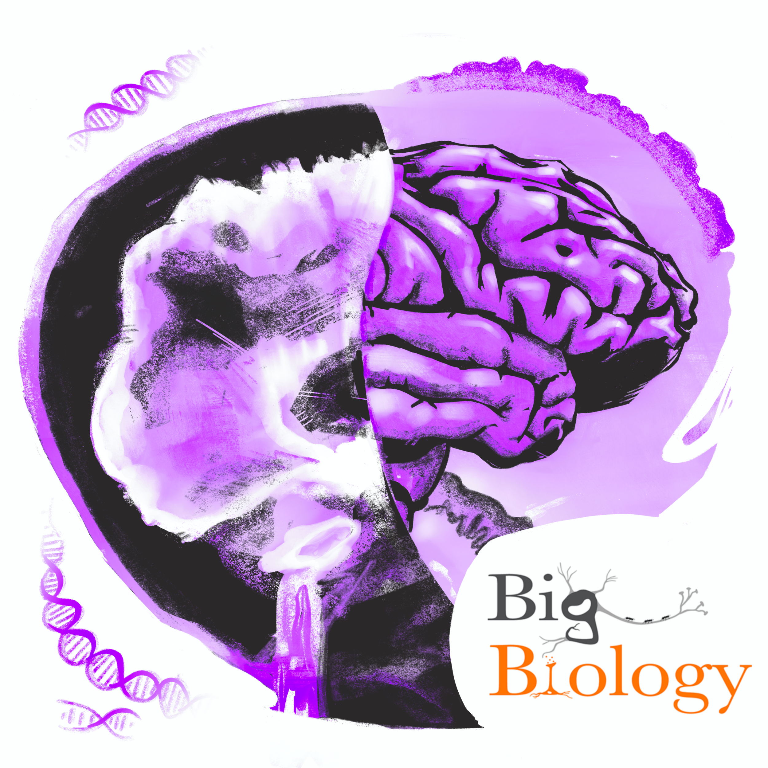 Ep 71: A tattoo on the brain: The neurobiology of Alzheimer's disease (with Daniel Gibbs)